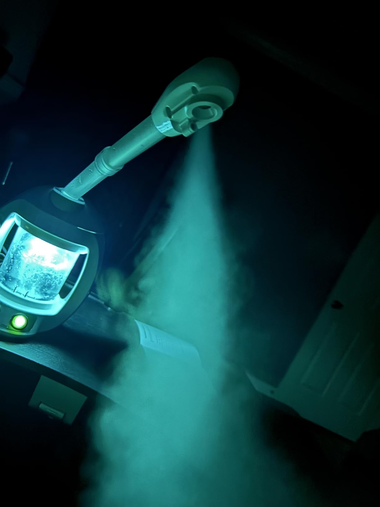 Facial Steamer, Face Steamer and Hair Steamer for Esthetician customer photo 2