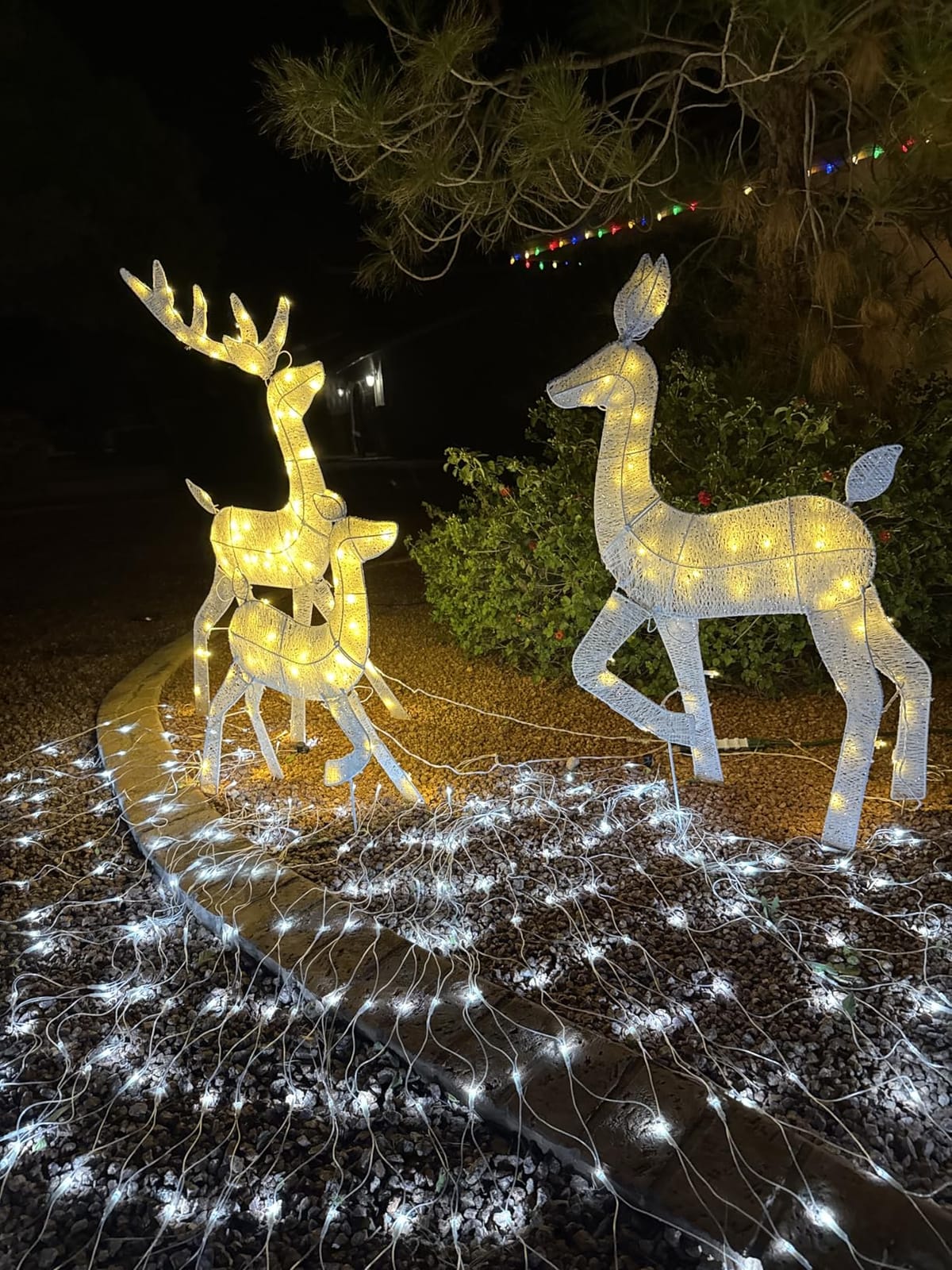 Best Choice Products 4ft 3-Piece 2D Lighted Christmas Deer Family Set, Large Outdoor Yard Reindeer Holiday Decoration with 175 LED Lights, Stakes, Zip Ties - Gold customer photo 1