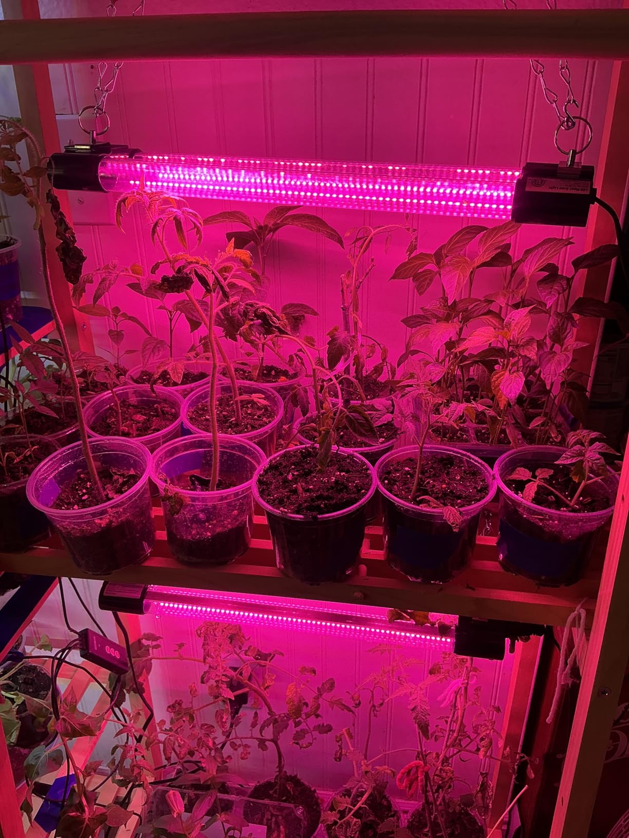 Hlite 16inch LED Grow Lights - Linkable Grow Lights for Indoor Plants customer photo 2