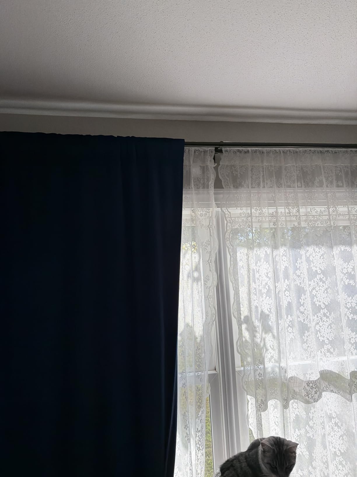 USFOOK Double Wrap Around Curtain Rods 32 to 58, Black Window Treatment Rod customer photo 1