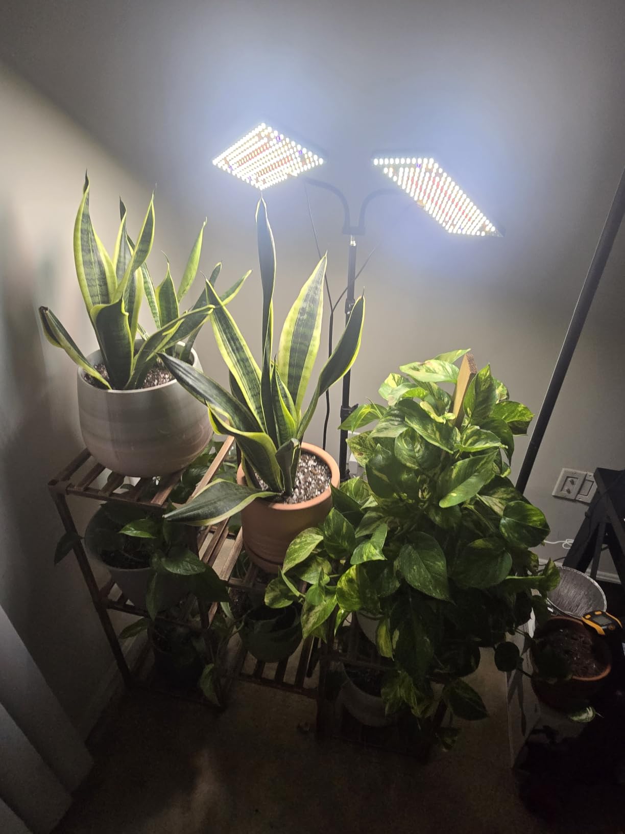 LBW Grow Light for Indoor Plants, 642 LEDs Grow Light with Stand customer photo 1
