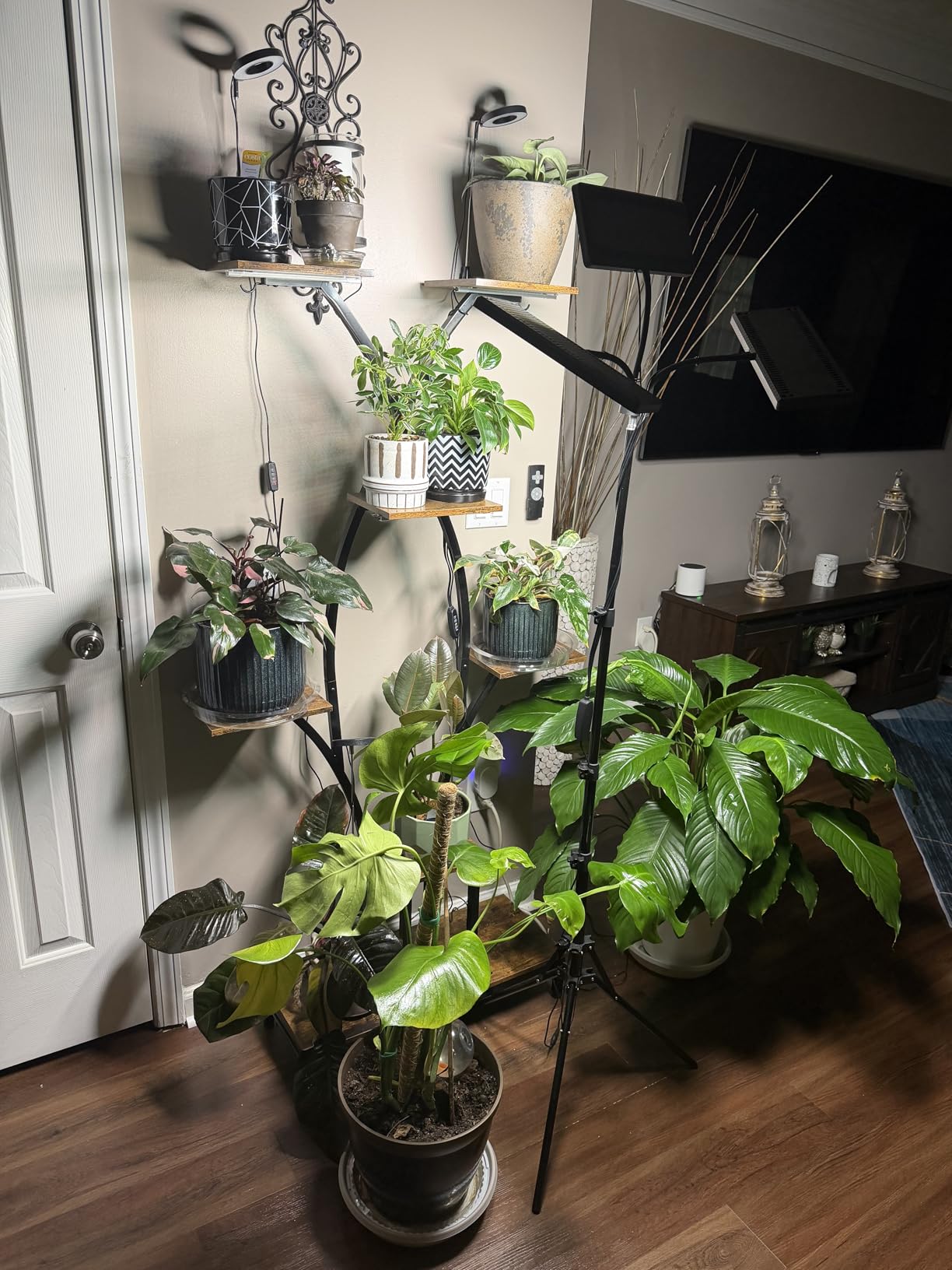 LBW Grow Light for Indoor Plants, 642 LEDs Grow Light with Stand customer photo 2