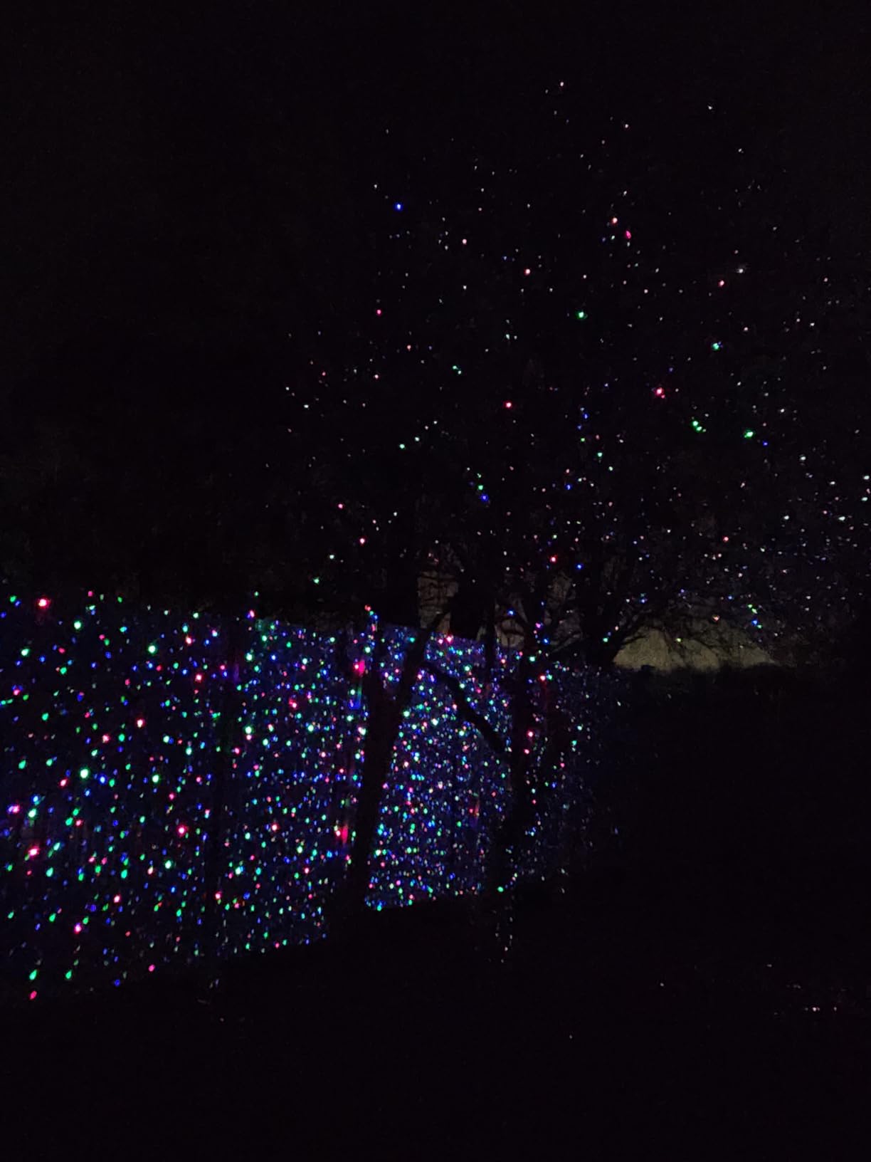 Outdoor RGB Laser Projector Lights 3 Color Starry Sky Firefly Effect | IP65 Moving Projection Light with Remote for Christmas Halloween Parties, Garden, Yard, New Year – Holiday Landscape Decor customer photo 1