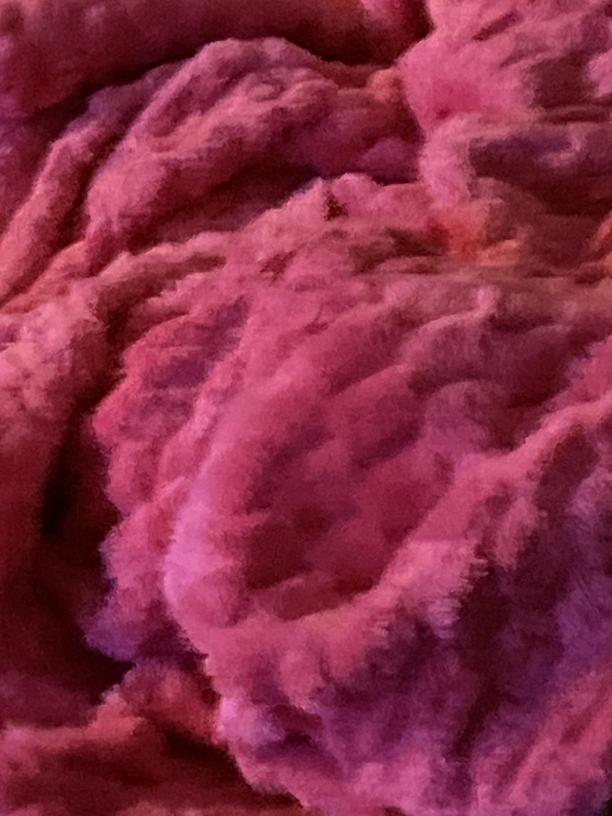 Puncuntex Burnt Orange Throw Blanket 50