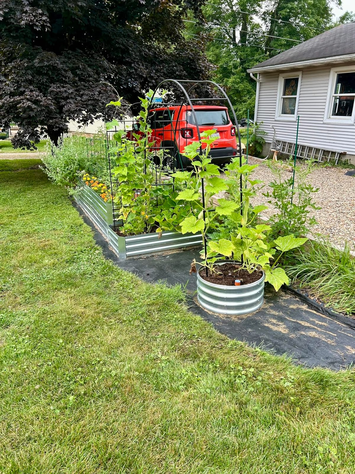 Thickened Tube Garden Arch Arbor Metal Trellis for Climbing Plants Outdoor customer photo 1