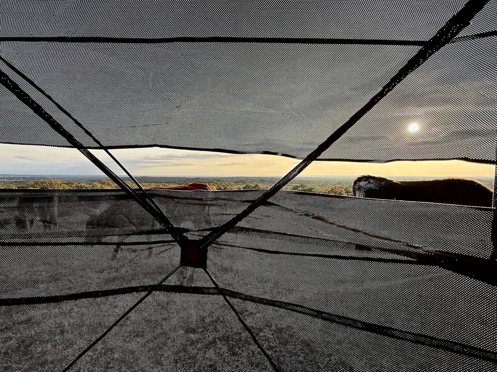 FUNHORUN Hunting Blind with Floor Mat, 360 See Through Ground Blind, Pop Up customer photo 1