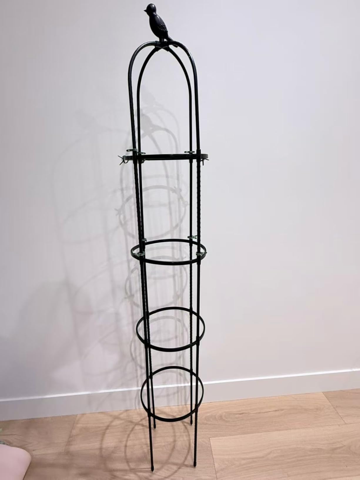 Obelisk Trellis for Climbing Plants Outdoor, 6.2 FT Plant Support for Tomato, Rose, Flowers, Grape, Pea, Cucumber, Rustproof Plastic Coated Metal Plant Tower for Potted Plants - 1PC Garden Trellis customer photo 2