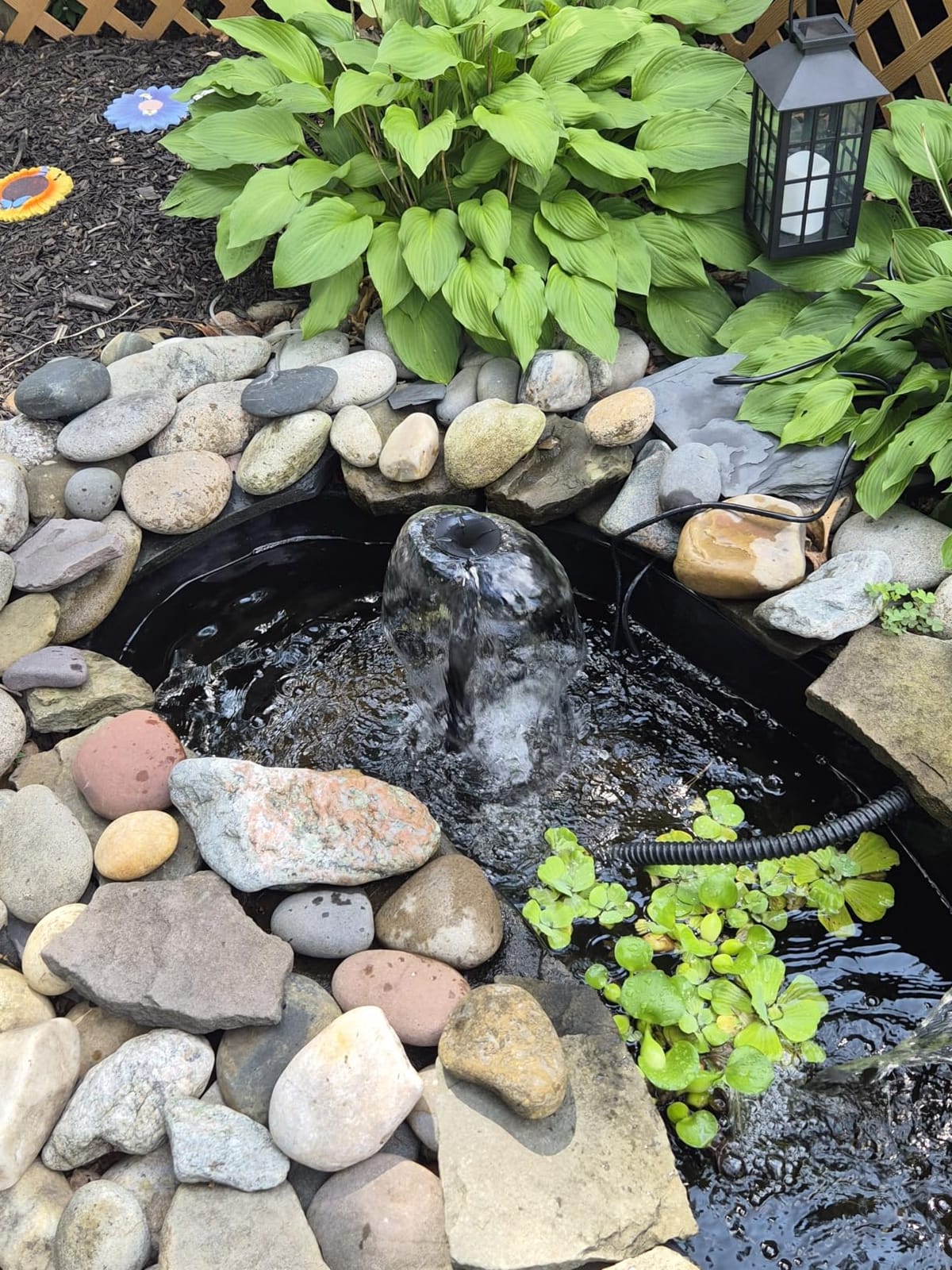 POPOSOAP Pond Filter with Pump Fountain Kits, 660GPH Pond Filter with 40W Pond Pump & Fountain Kit, Koi Pond Filters for Outdoor Ponds Clean, Clear, and Add Water Features(Corded Electric) customer photo 2