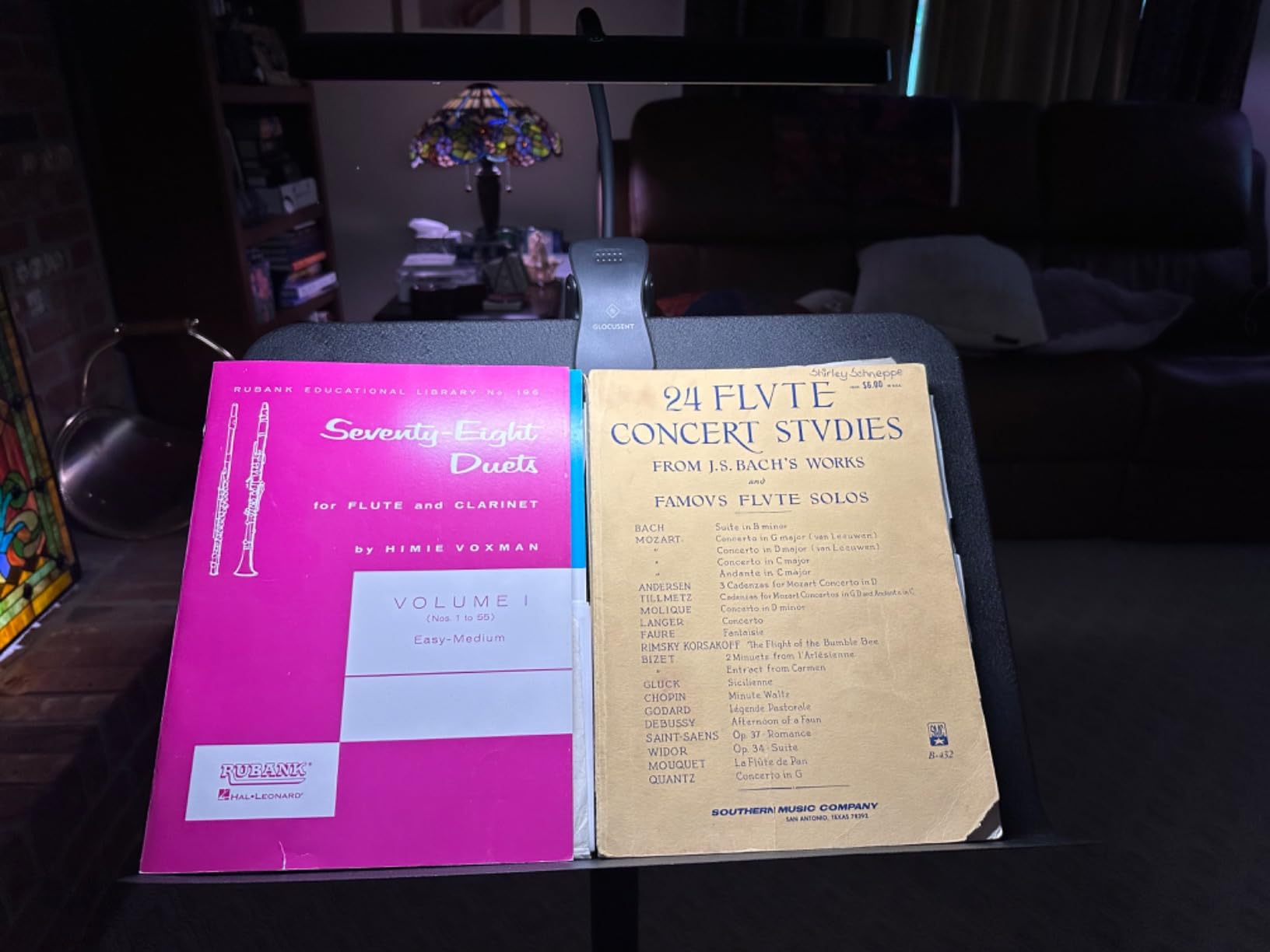 Glocusent Rechargeable Music Stand Light, 4000mAh Piano Light with EVA Case customer photo 2