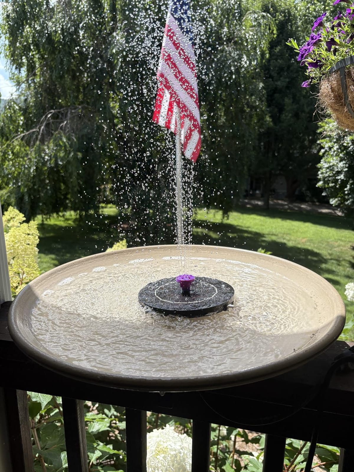 Solar Bird Bath Fountain Pump, Solar Powered Water Pump, Outdoor Water Fountain with 8-in-1 Nozzles, 4 Fixed Pipes for Hummingbirds, Garden, Pool, Pond customer photo 2