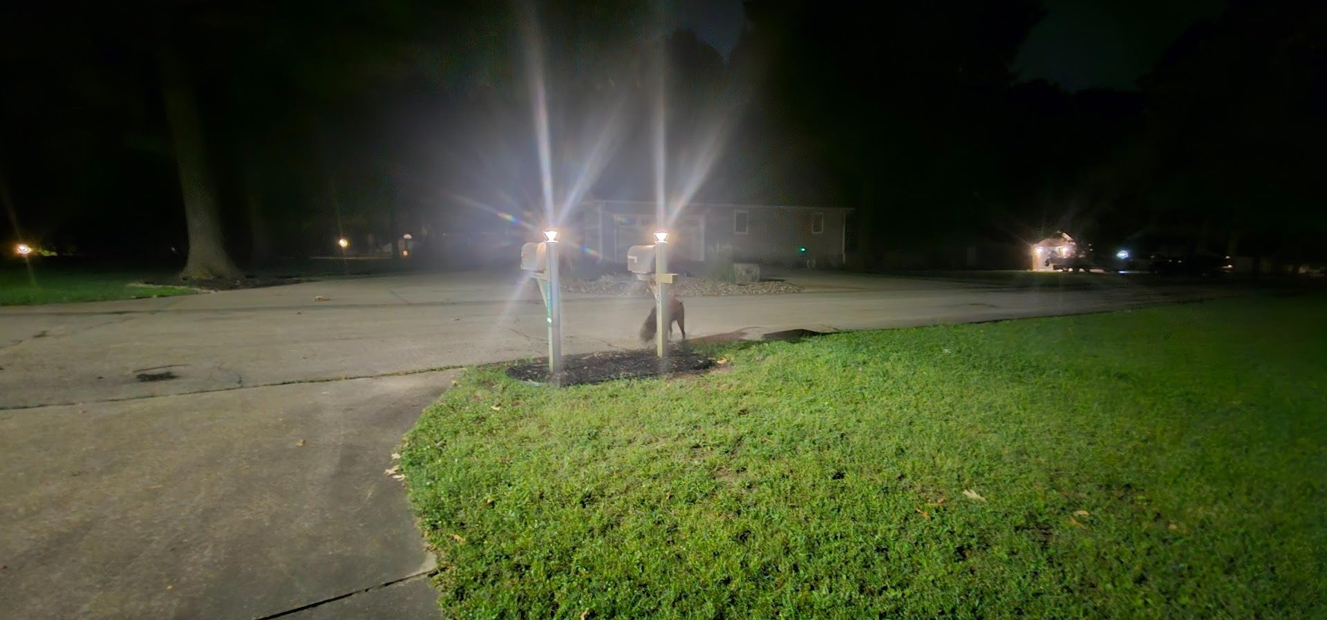 Gama Sonic Luxor Bollard Outdoor Solar Pathway Light, Silver Stainless, 20.25-inch Lamp Height, Sidewalk, Path, Driveway, 50 Lumens (144i58070) customer photo 2