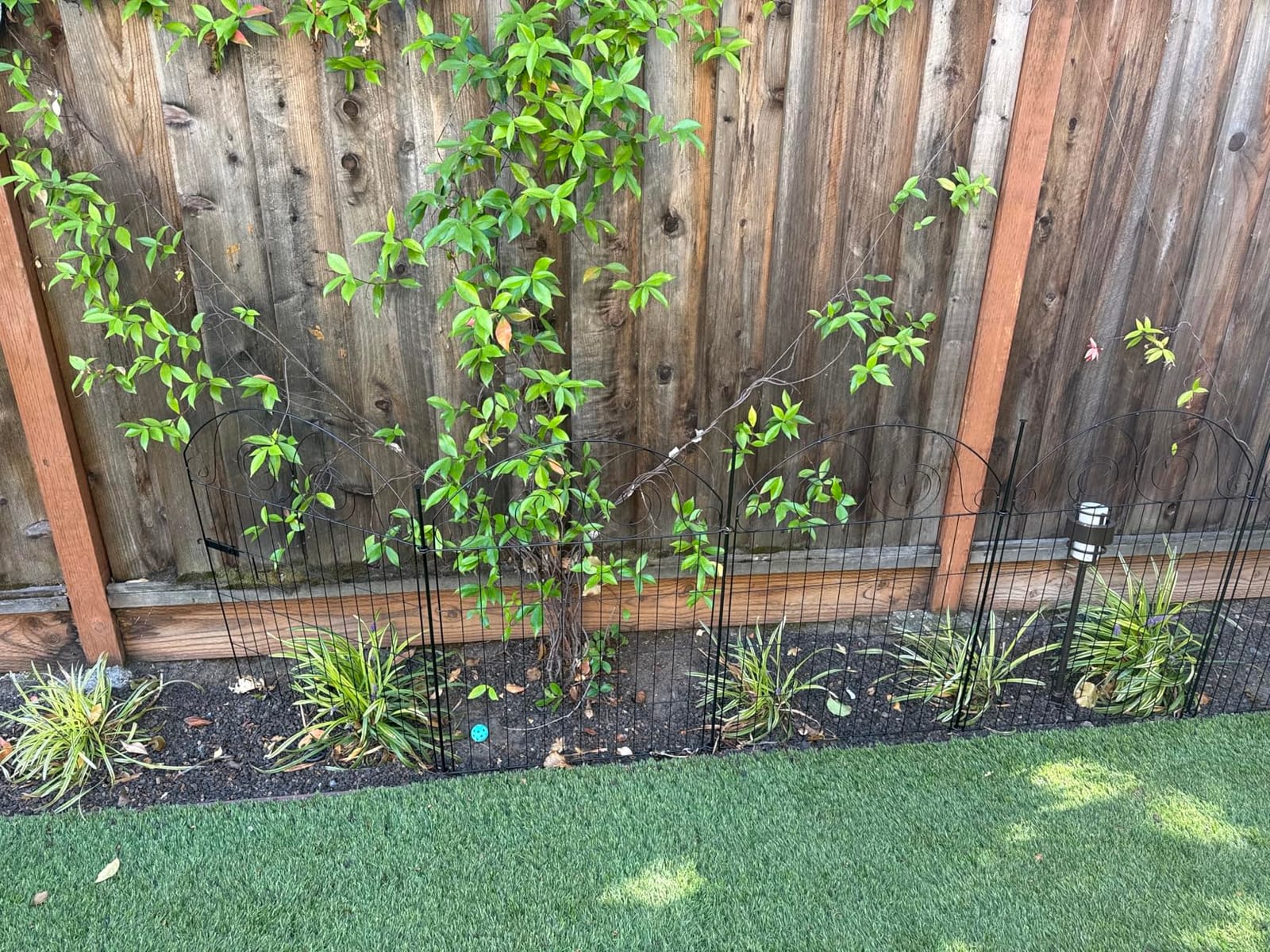 Getlay Tall Garden Fence Animal Barrier with Gate, 40 in(H) 12 Panels Garden Fences and Borders for Dogs, Dog Fence Outdoor for Yard, Total Length 26.2 Ft Metal Temporary Fencing│Patented customer photo 2