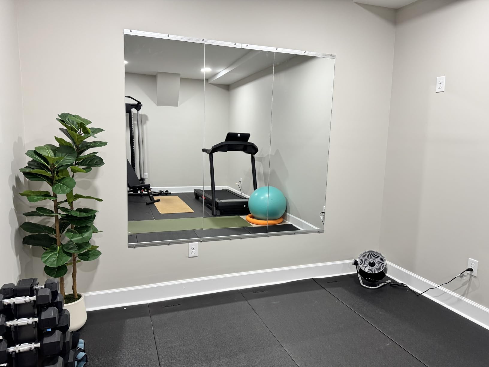 pertetey 56 x 16 in Home Gym Mirrors, Frameless, 2-Pack customer photo 1