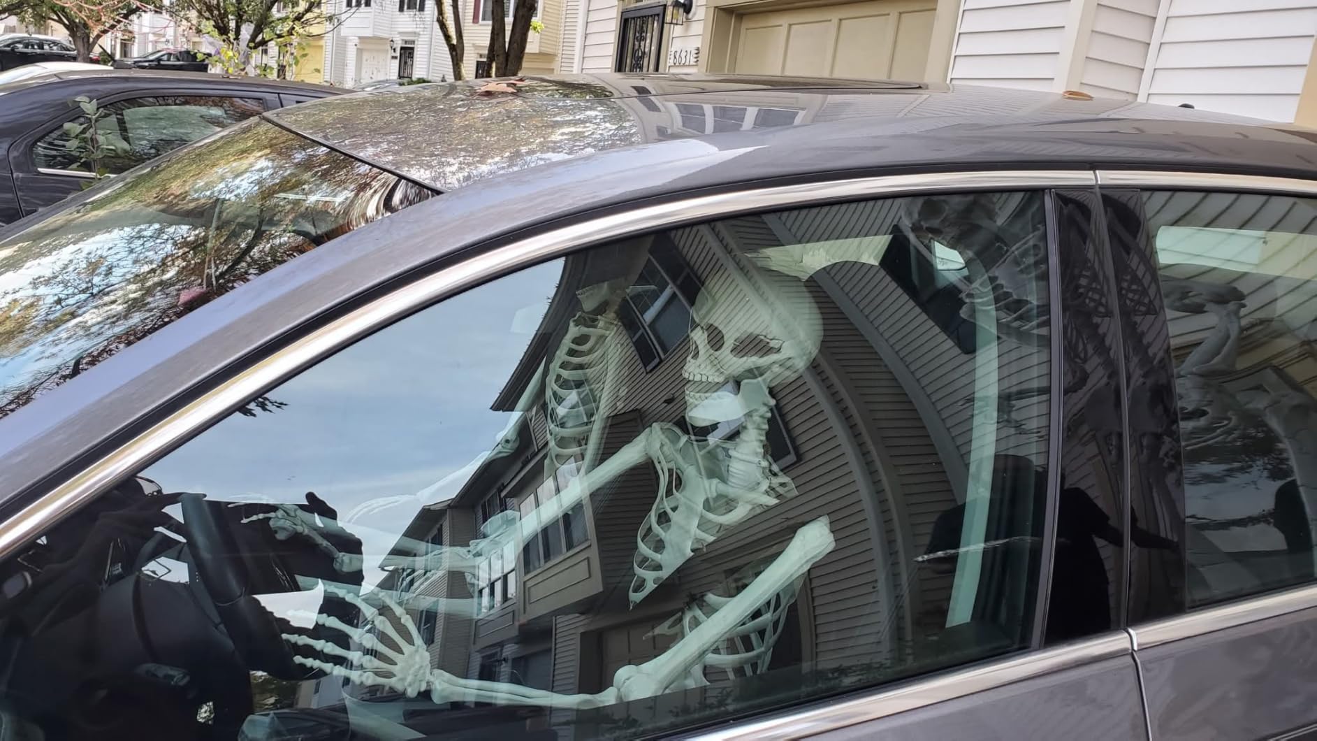 2 Pack 5.4Ft Halloween Skeletons Posable Skeletons Life Size Full Body Bones with Movable Joints for Halloween Decorations White customer photo 1