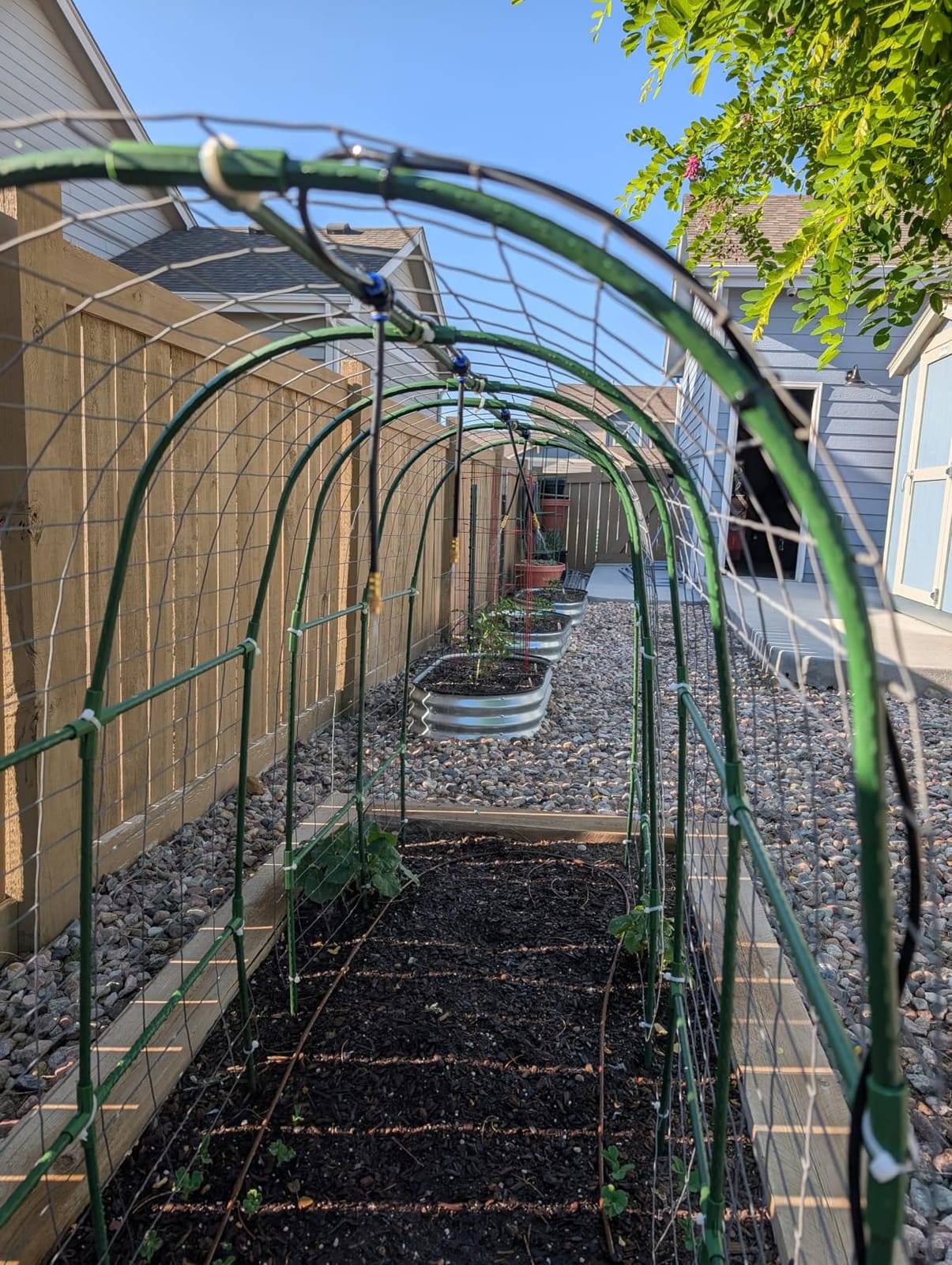 Cucumber Trellis for Raised Bed,U-Shape Garden Trellis for Climbing Plants Outdoor, Metal Arch Vegetables Trellis, Plant Support for Vine (Green, 47.2x47.2 X21.6) customer photo 1