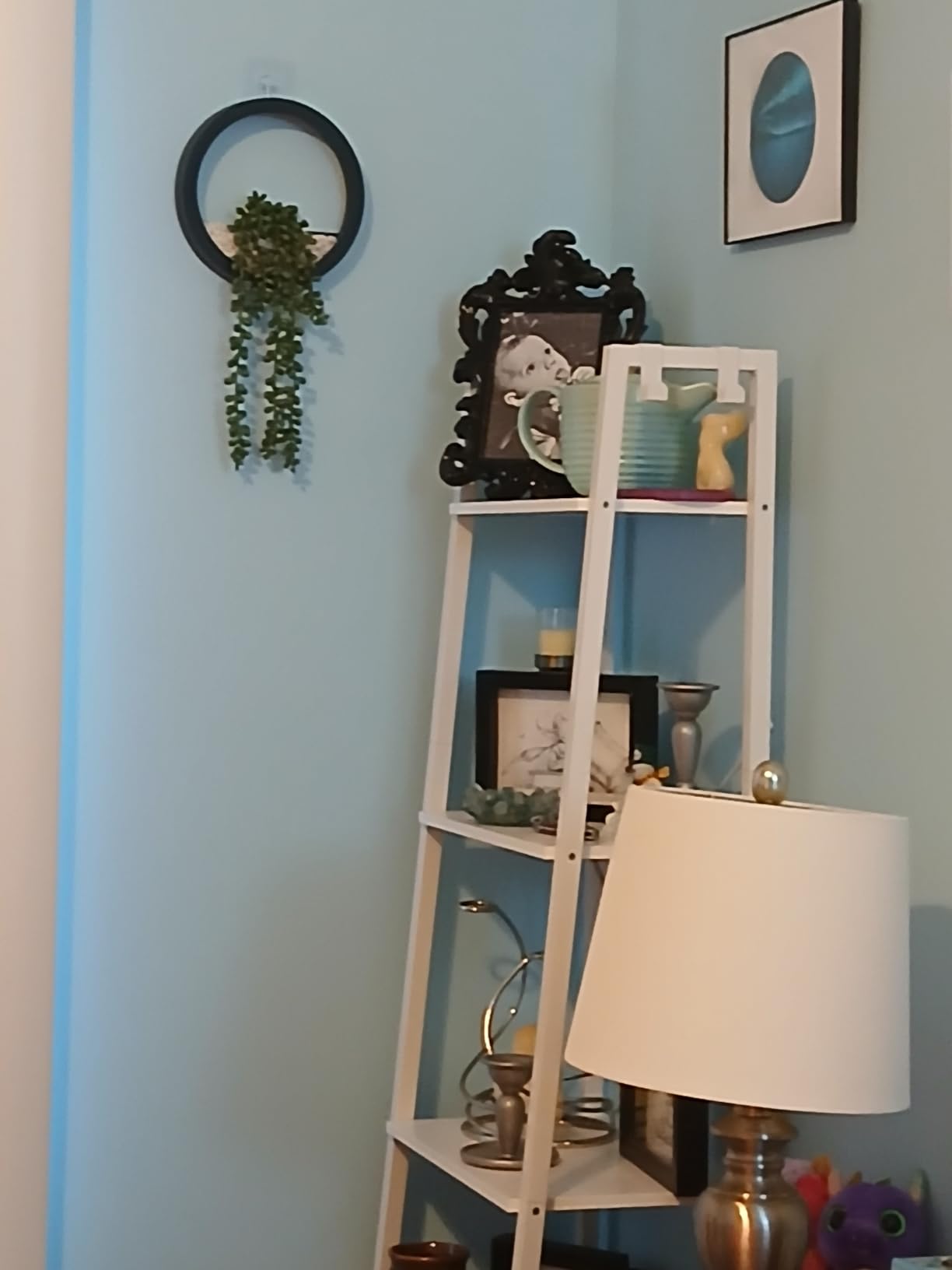 Hzuaneri Ladder Shelf, Bookshelf, Freestanding Corner Storage Shelf customer photo 2