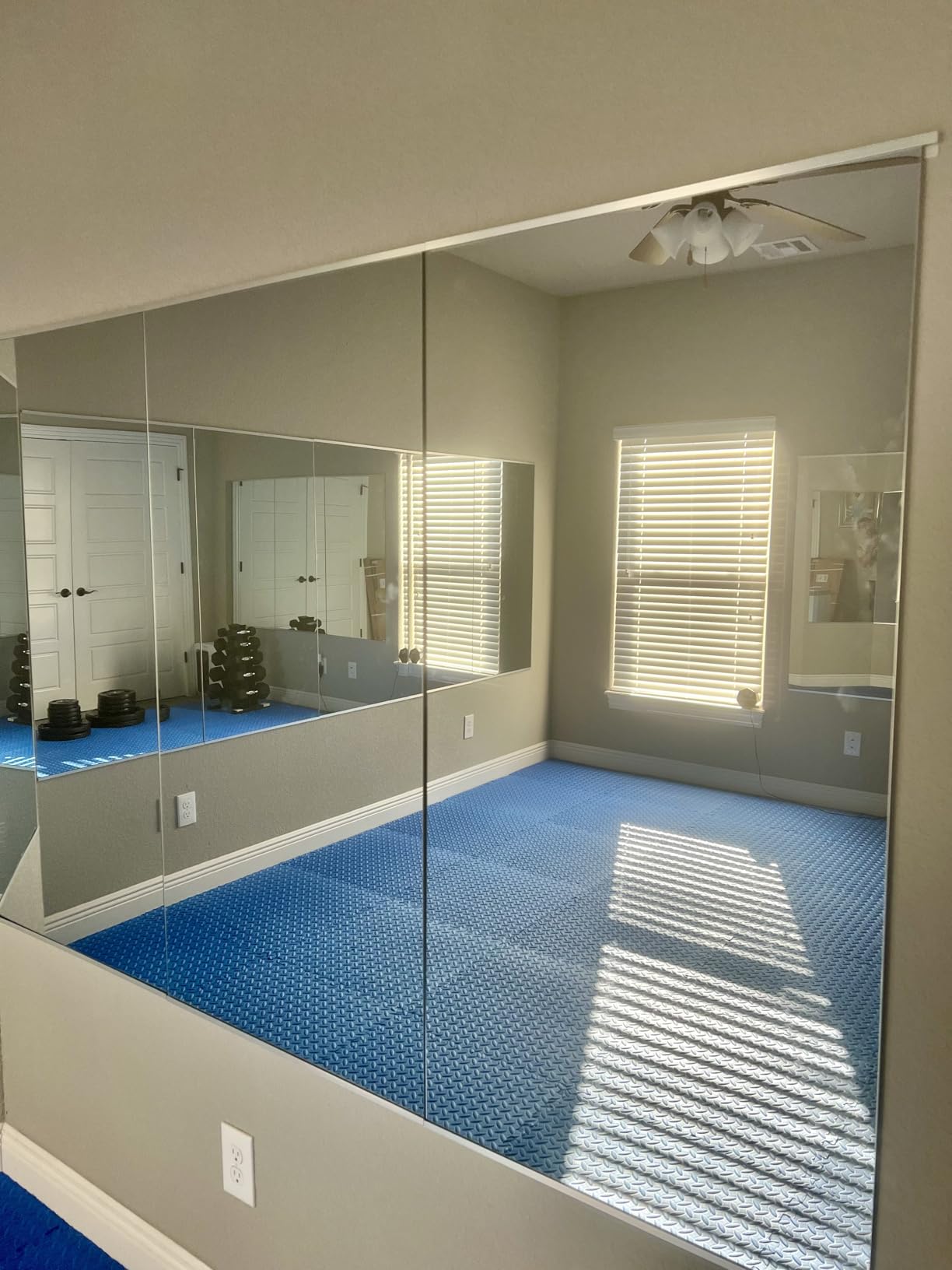 Home Gym Mirror 48