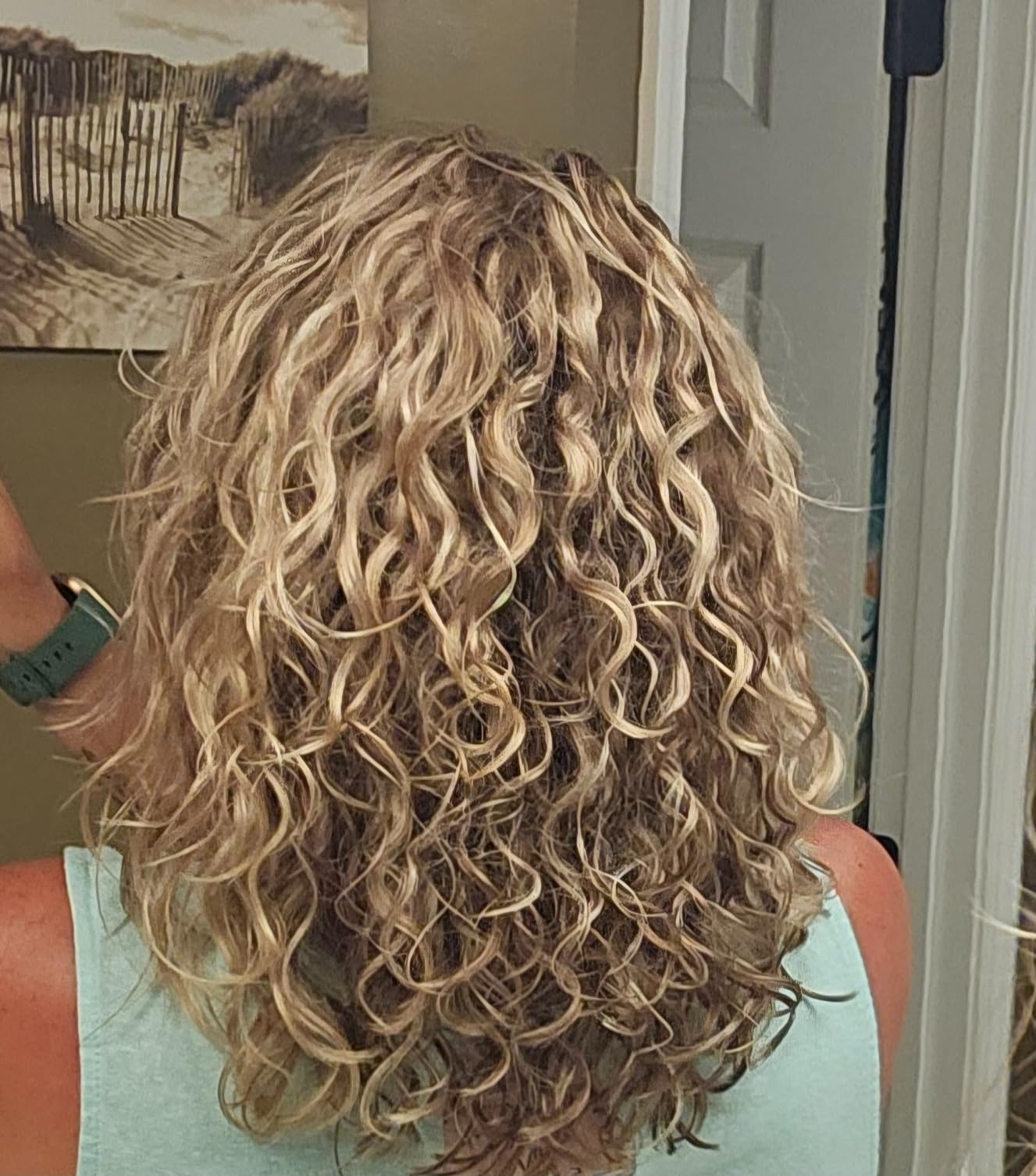 Wavytalk Turblow Pro Fast Drying Hair Dryer with Diffuser customer photo 2