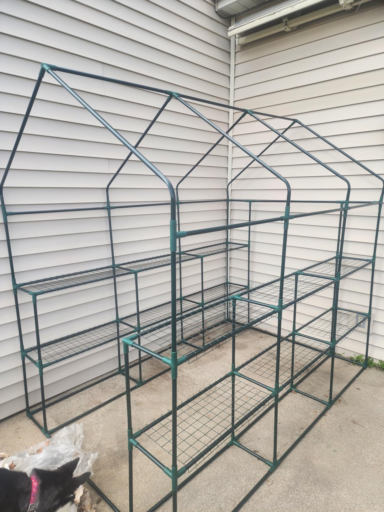 SPECILITE 56×56×78Inch Walk-in Greenhouse for Outdoors Garden Plant, Green customer photo 1