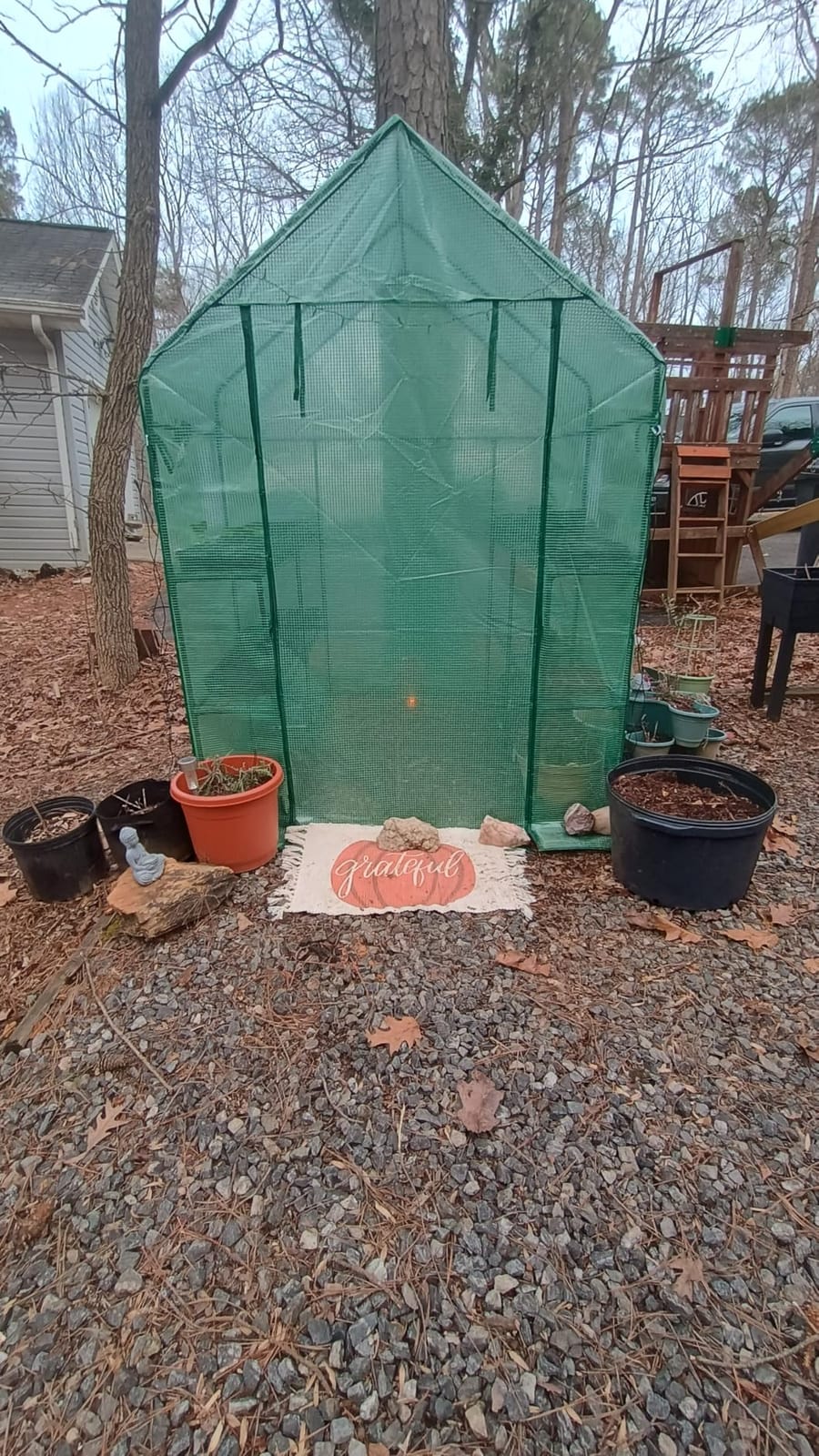SPECILITE 56×56×78Inch Walk-in Greenhouse for Outdoors Garden Plant, Green customer photo 2