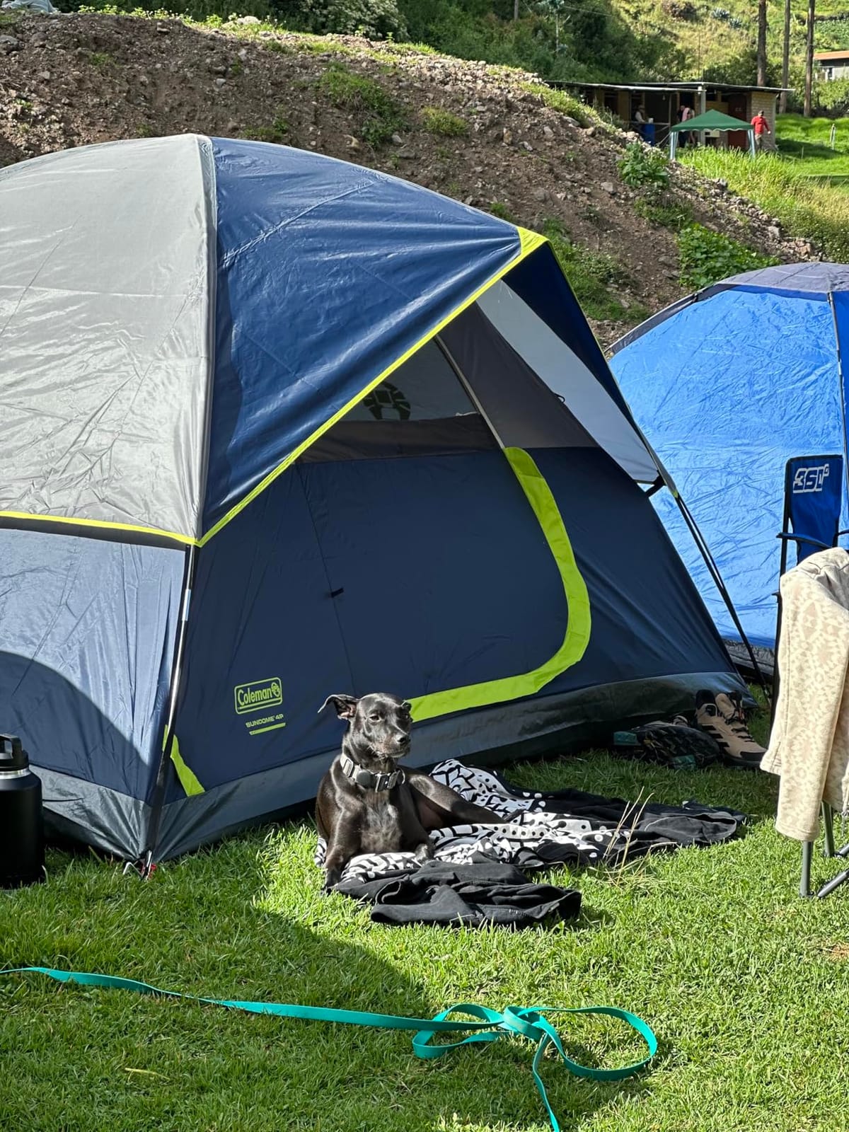 Coleman Sundome Camping Tent with Rainfly, 2/3/4/6 Person Tent Sets Up in 10 Mins, Weatherproof Shelter for Camping, Festivals, Backyard, Sleepovers, & More customer photo 2