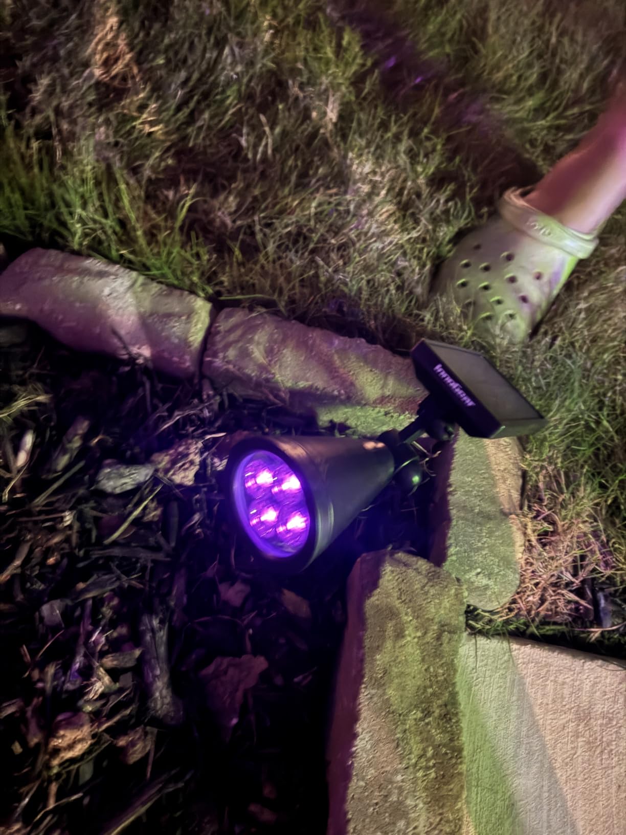 InnoGear 1 Solar Spot Lights Outdoor for Flag Pole Garden Yard, Cool White customer photo 1