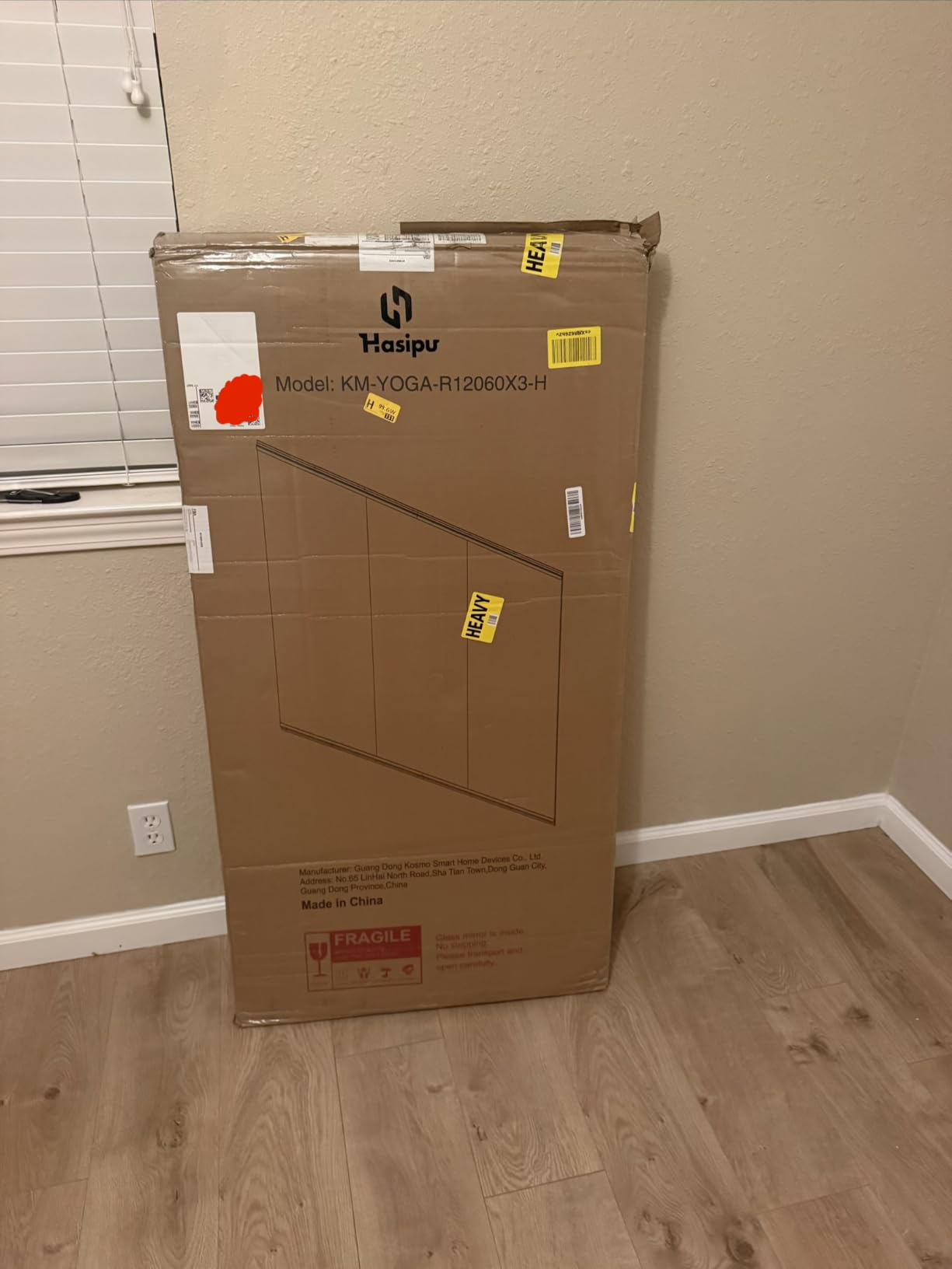 Hasipu Home Gym Mirror 79