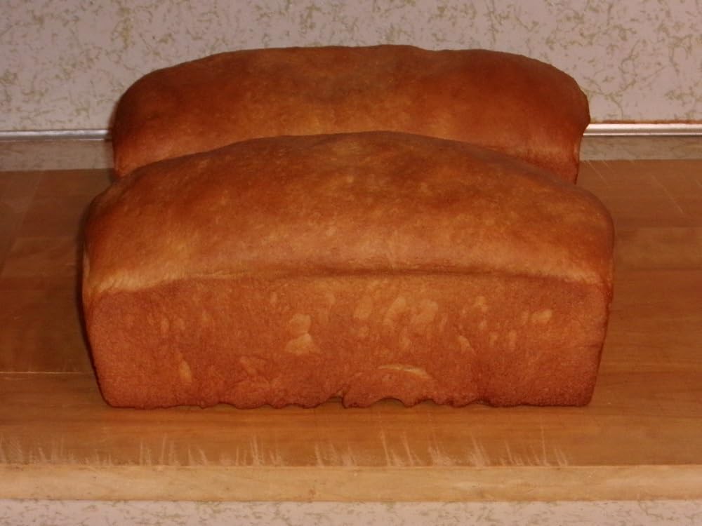 Bread Proofer Warming Box with Temperature Timer Control Metal Rack customer photo 1