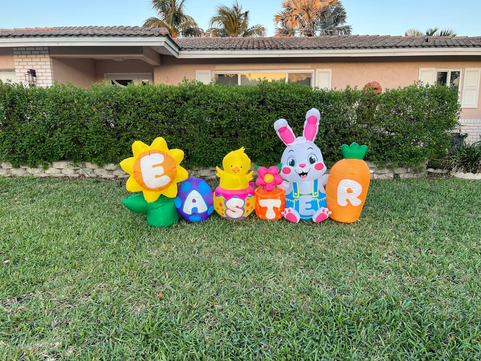 KOOY 8FT Long Easter Inflatables Bunny Outdoor Decorations with Egg Chick Carrot and Sunflower, Built-in LED Lights Easter Blow Up Yard Decorations for Lawn Garden Holiday Party customer photo 2
