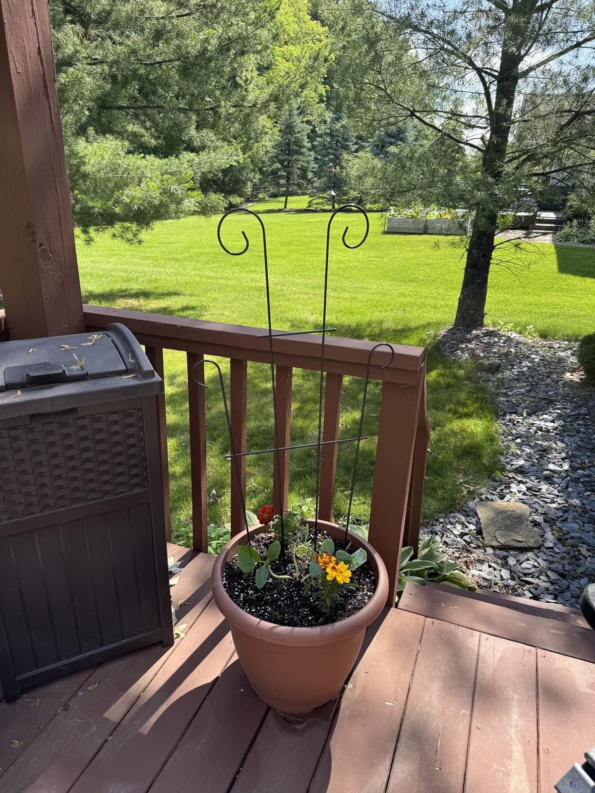 4 Pack 43'' Large Metal Plant Trellis for Climbing Plants customer photo 2