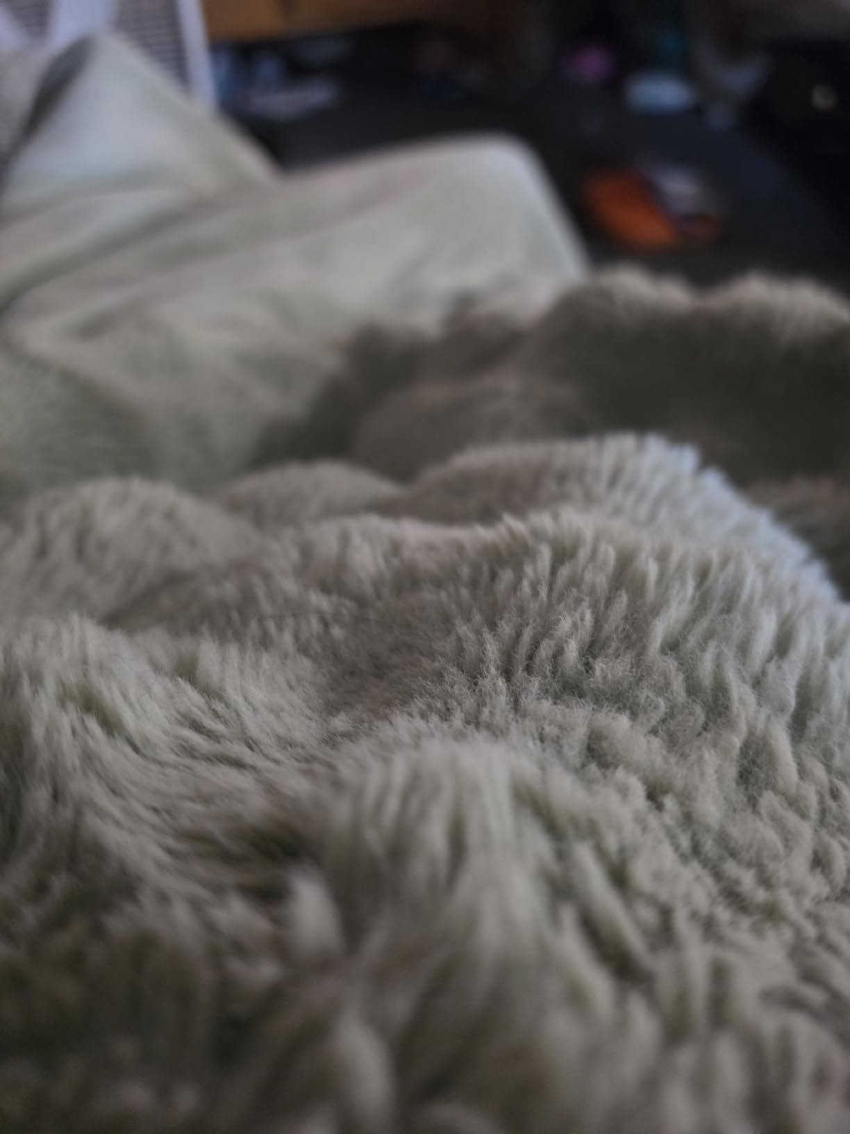 Cozy Bliss Faux Fur Throw Blanket for Couch, Fuzzy Soft Plush Thick Bubble Blanket for Sofa Bedroom Living Room, 50 * 60 Inches Beige customer photo 2