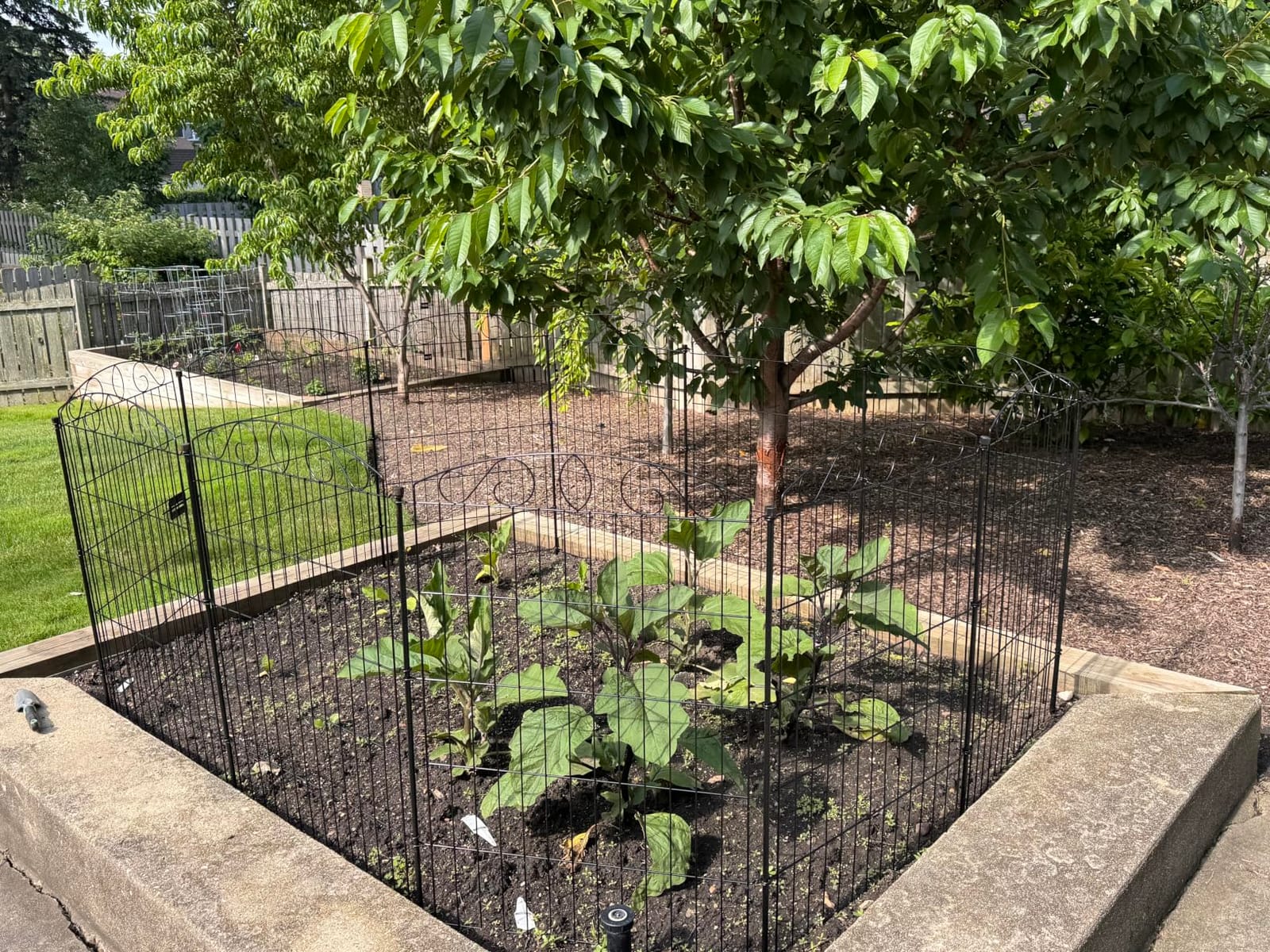 12 Panel No Dig Decorative Garden Fence with Gate 42
