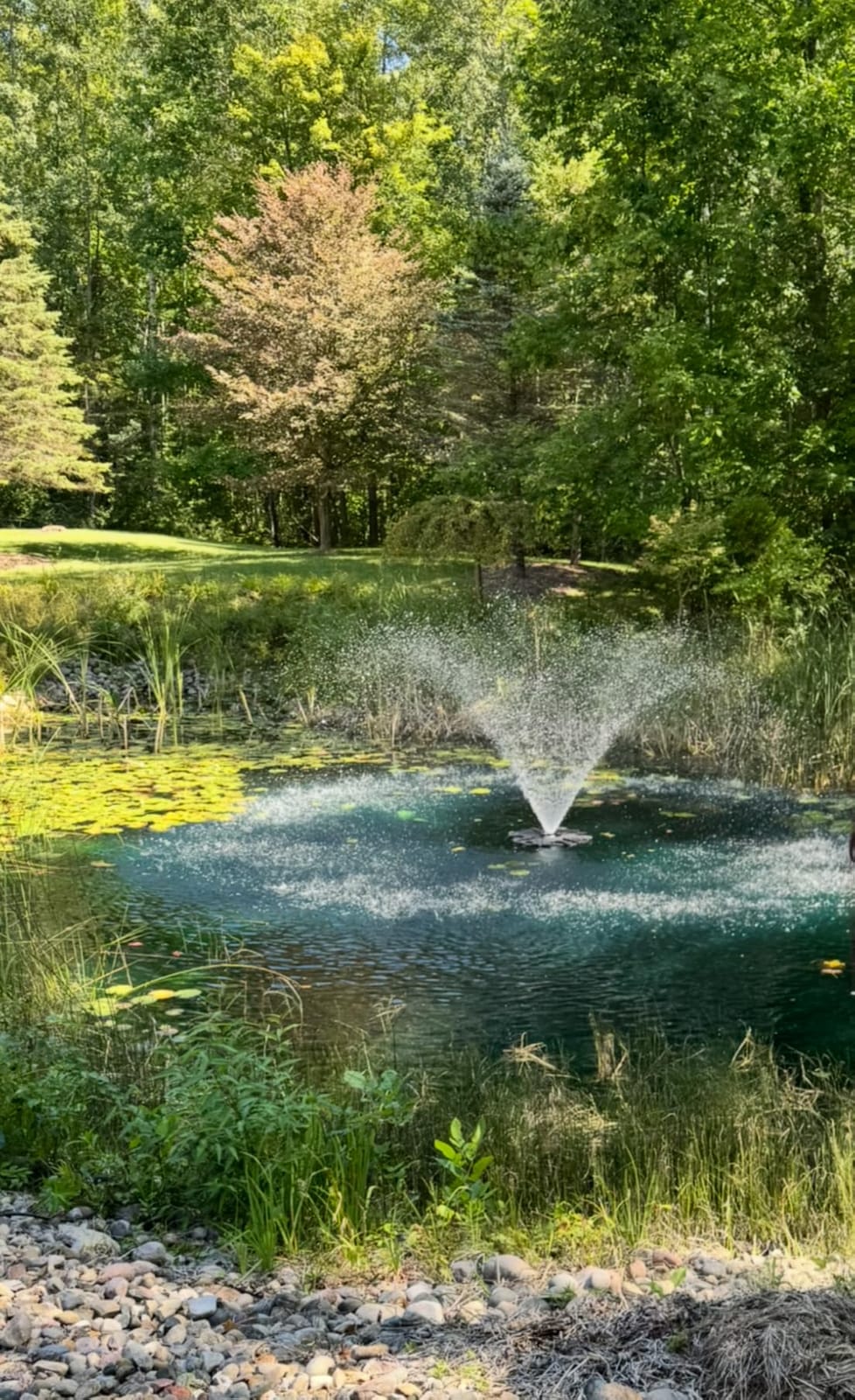 FS01 110V, 1 HP, Large Pond Floating Fountain with LED RGB Lights, Oil Free Pump 13000 GPH with 100’ Cord, Two Spray Patterns Included customer photo 1