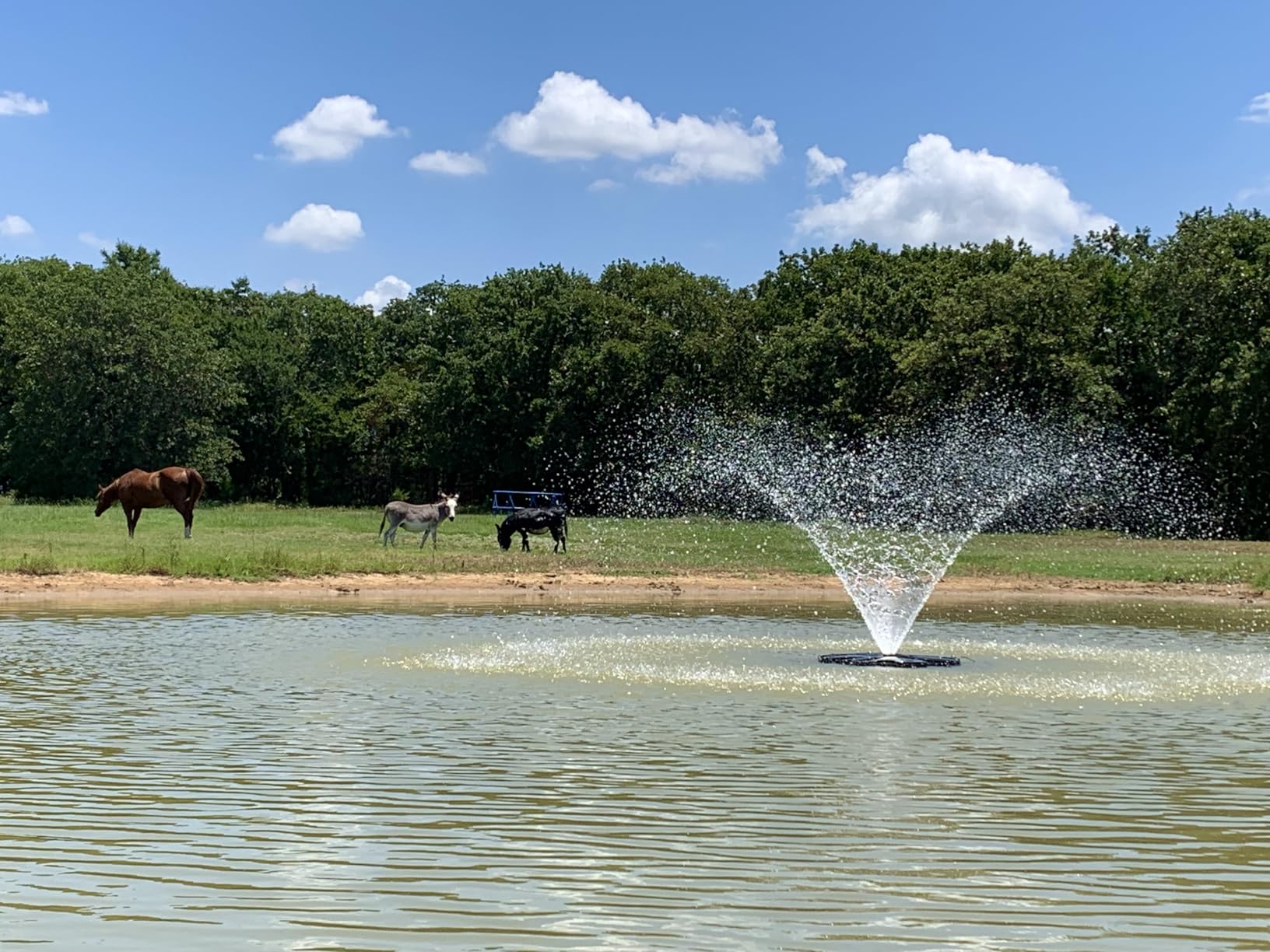 FS01 110V, 1 HP, Large Pond Floating Fountain with LED RGB Lights, Oil Free Pump 13000 GPH with 100’ Cord, Two Spray Patterns Included customer photo 2