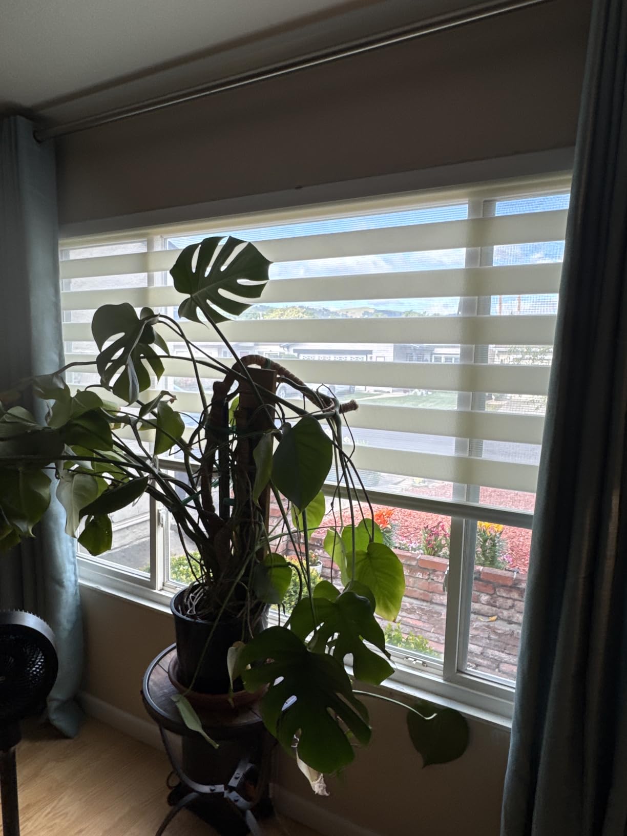 Foiresoft Zebra Blinds Custom Size Day Night Dual Layer [Basic,White] customer photo 1
