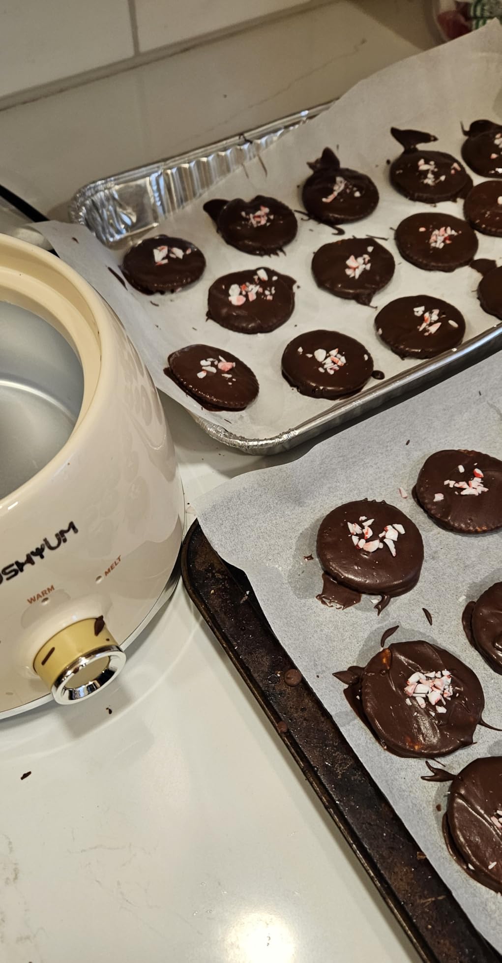 LUSHYUM Electric Chocolate Melting Pot with 2 Insert Pots, 4-Cup Chocolate customer photo 1