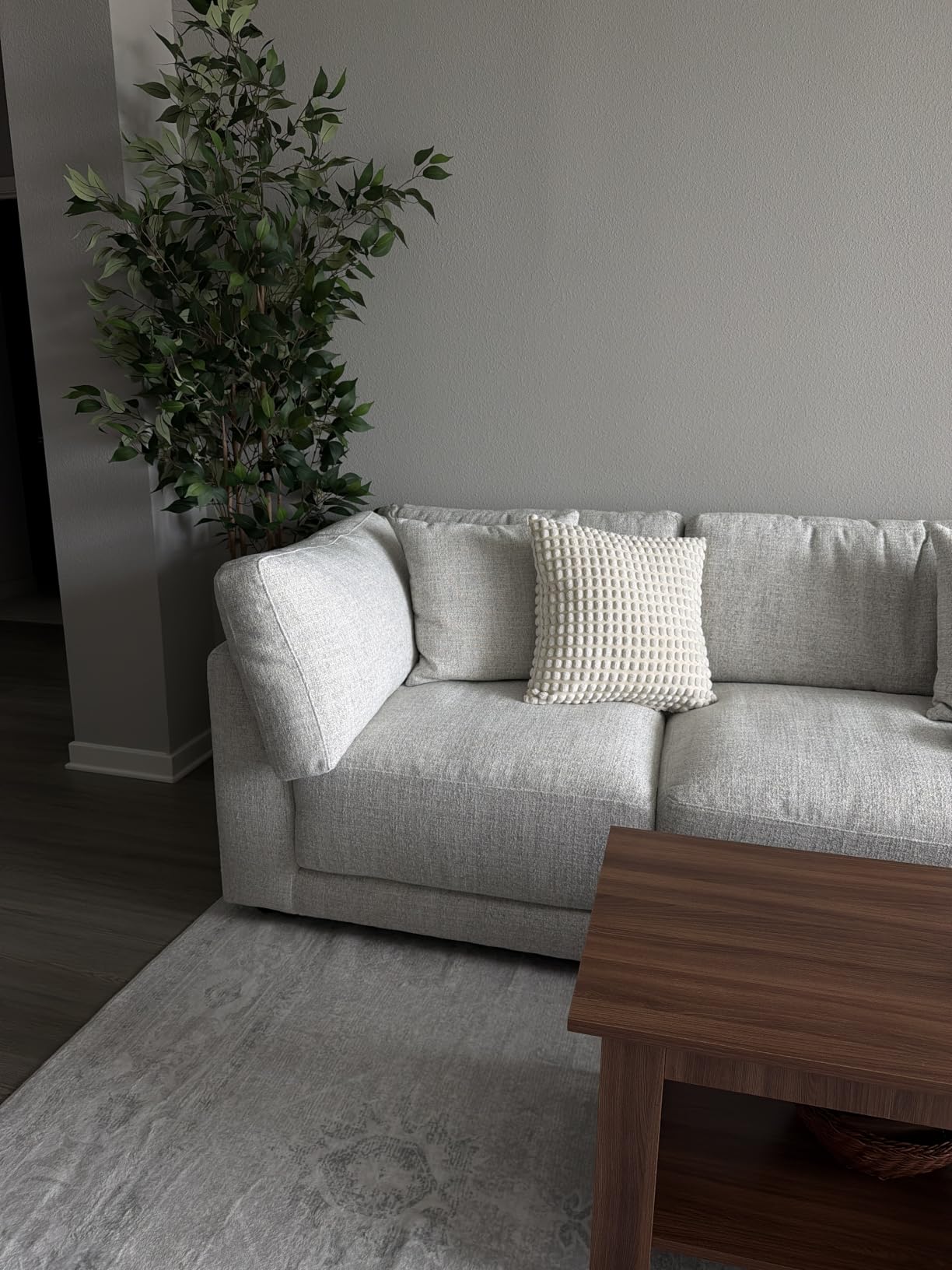 Washable Rugs 9x12 Area Rugs for Living Room,Bedroom,Dining Room Carpet customer photo 1