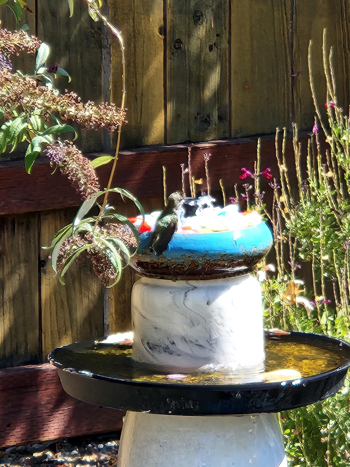 POPOSOAP 6.5W Solar Fountain Pump for Bird Bath Built-in 3000mAh Battery Backup, DIY Solar Water Fountain with Double-Layer Nozzles & Dry-Run Protection 5Ft Tubing for Ponds, Bird Bath, Water Features customer photo 1