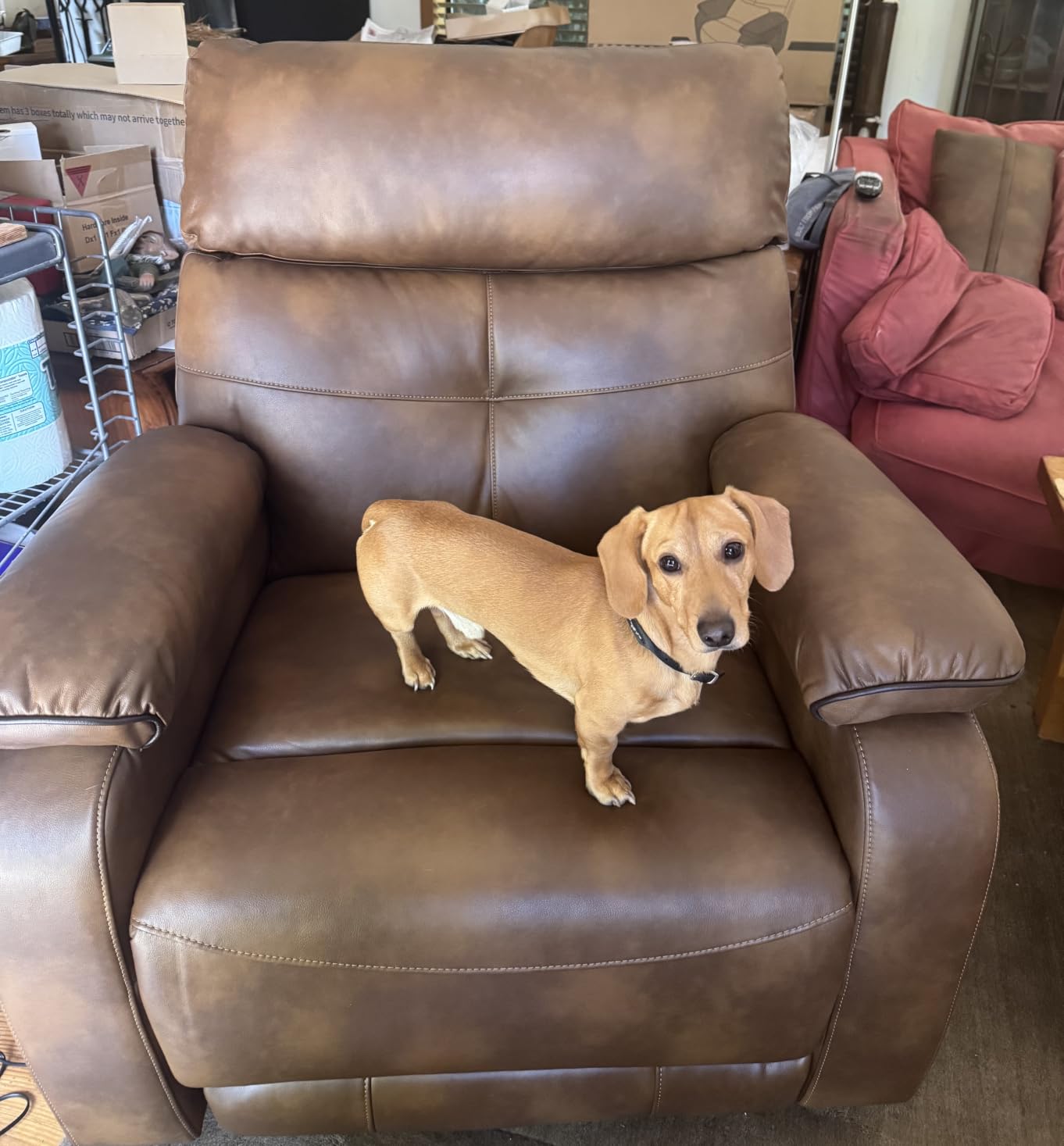 Dual Motor Power Lift Recliner Chair for Adult & Elderly, Leather, Beige customer photo 2