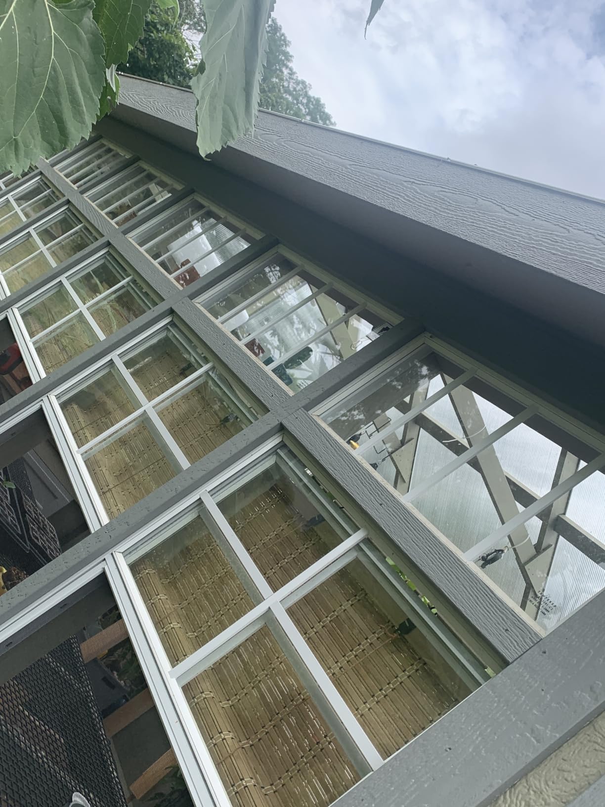 BAYUE Bamboo Blinds for Interior Windows, Roll Up Light Filtering, 23x48 in customer photo 1