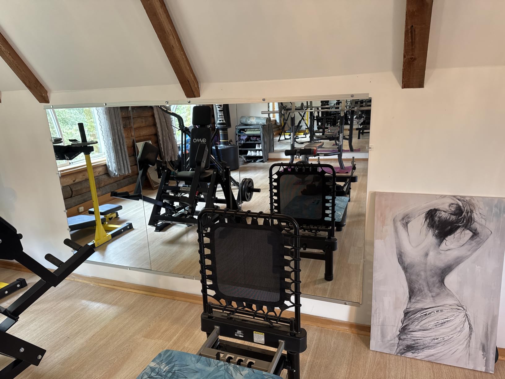 LOAAO Home Gym Mirror 48