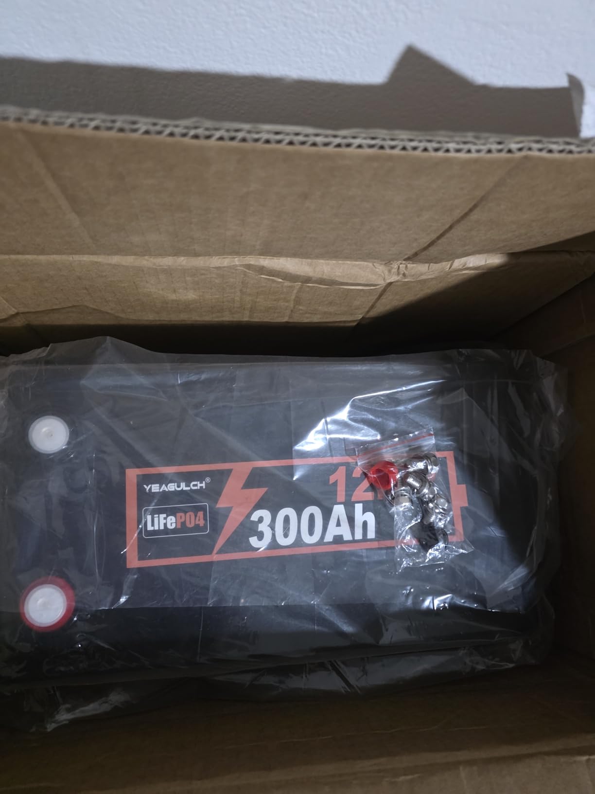 12V 200Ah LiFePO4 Lithium Battery Built-in 200A BMS 15000+ Deep Cycle customer photo 2