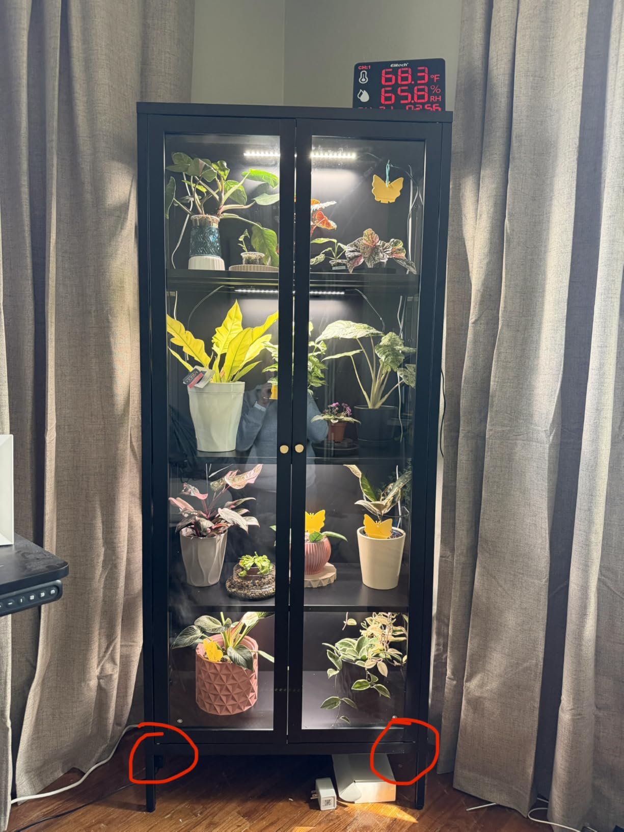 UNICOLY Glass Display Cabinet 4-Tier, Display Cabinet with Glass Doors customer photo 1