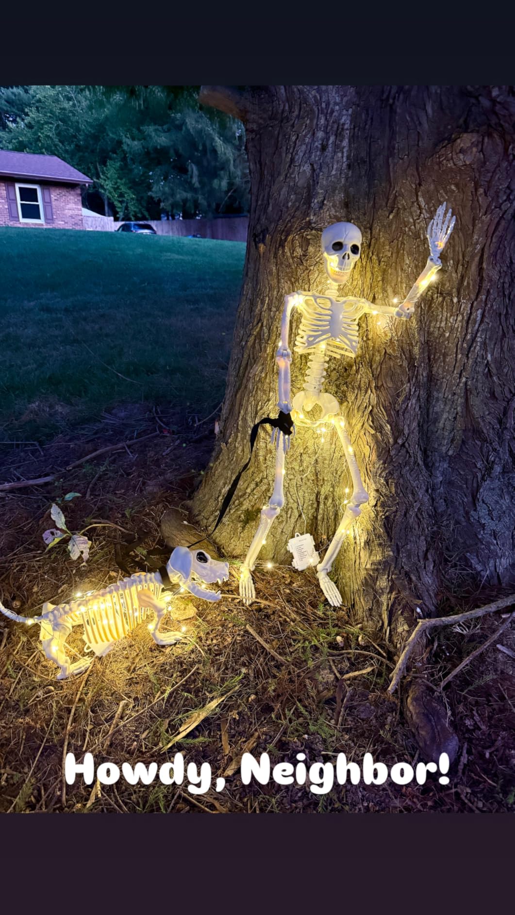 Lighted Human & Dog Skeleton Halloween Decorations Outdoor/Indoor - 36 Inch Realistic Full Body Movable Posable Skeleton Spooky Halloween Decor for Garden Yard Porch Party Haunted Graveyard customer photo 2