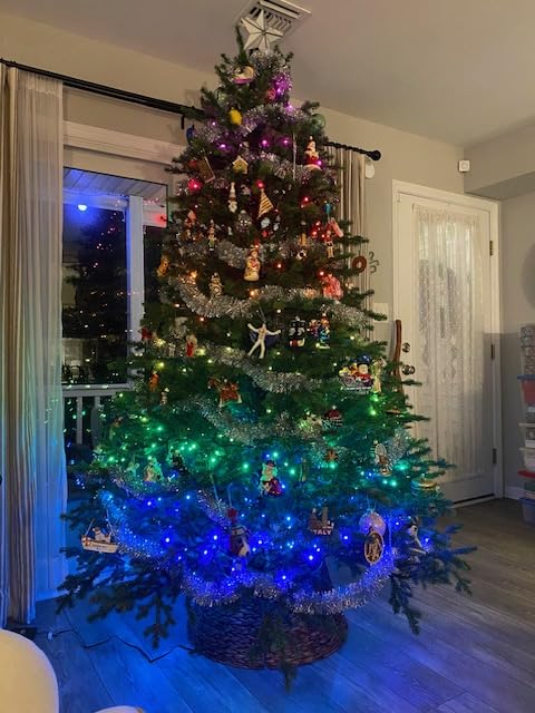 Govee Christmas Sparkle String Lights 66ft with 250 Bullet-Head LEDs customer photo 1