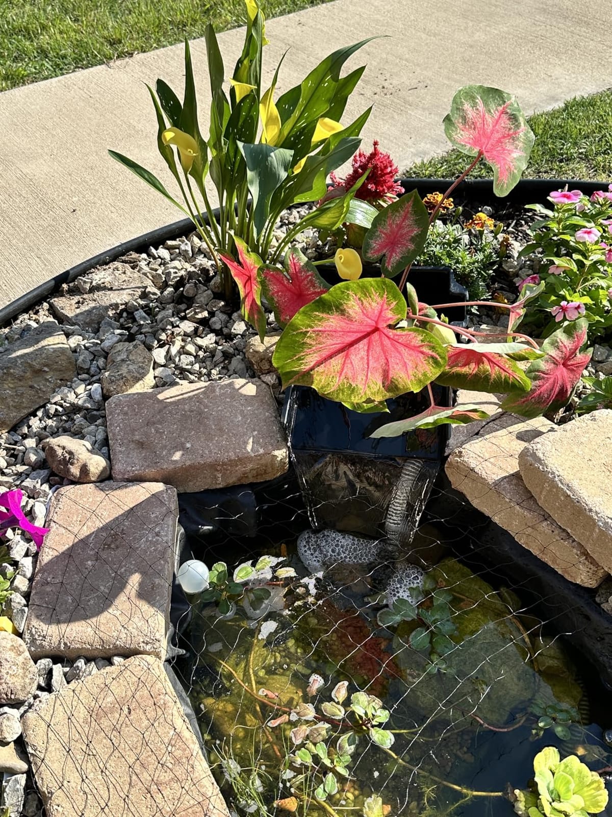 Buzzlett Waterfall Spillway with 8 inch Wide Weir, Pond Waterfall Box customer photo 2