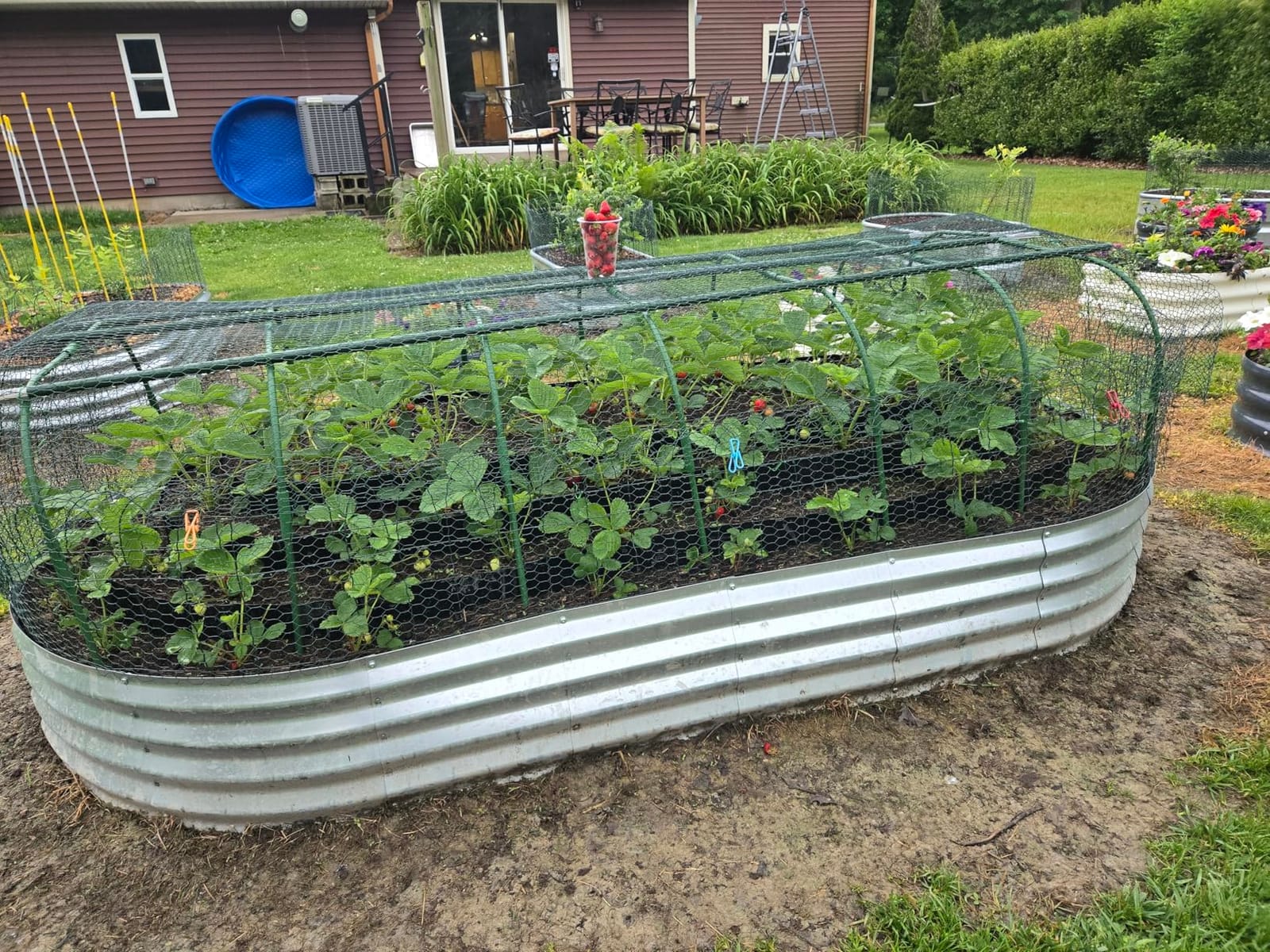 50FT Black Corrugated Metal Landscape Edging – Flexible & Rustproof Garden Edging Border, Decorative Metal Trim for Flower Beds, Lawn, Driveway, Walkway & Raised Beds customer photo 1