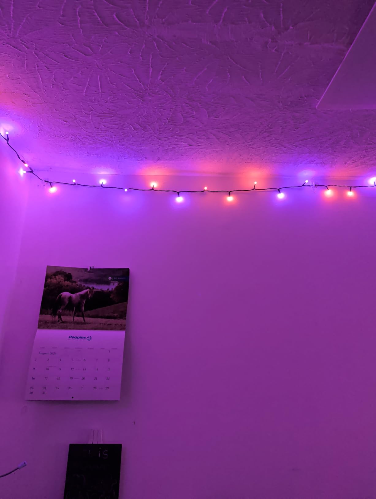 Minetom 82ft 250LED Smart Color Changing Christmas Halloween Tree Lights customer photo 1
