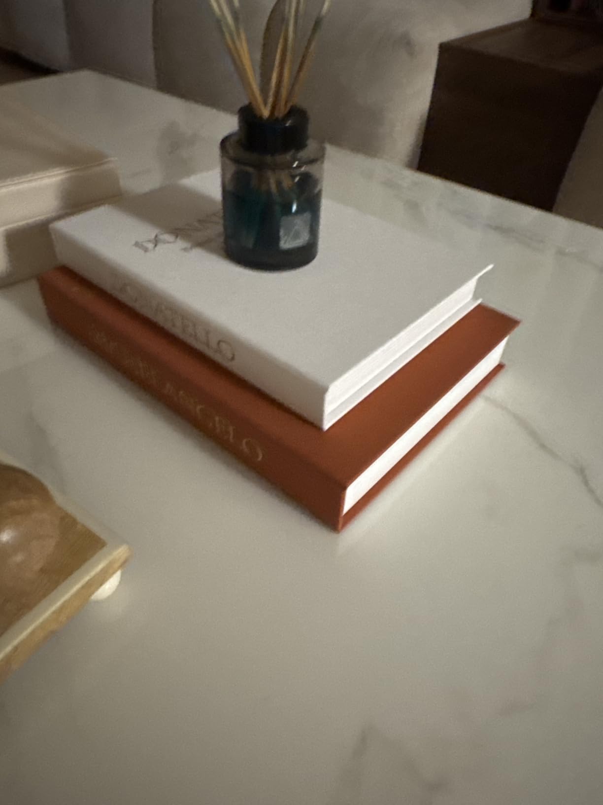 Decorative Books for Home Decor - Stackable Faux Book Box for Coffee Table Styling & Hidden Storage - Neutral Linen Fake Books as Display Riser for Shelf & Entryway (Set of 2, Van Gogh Art) customer photo 1