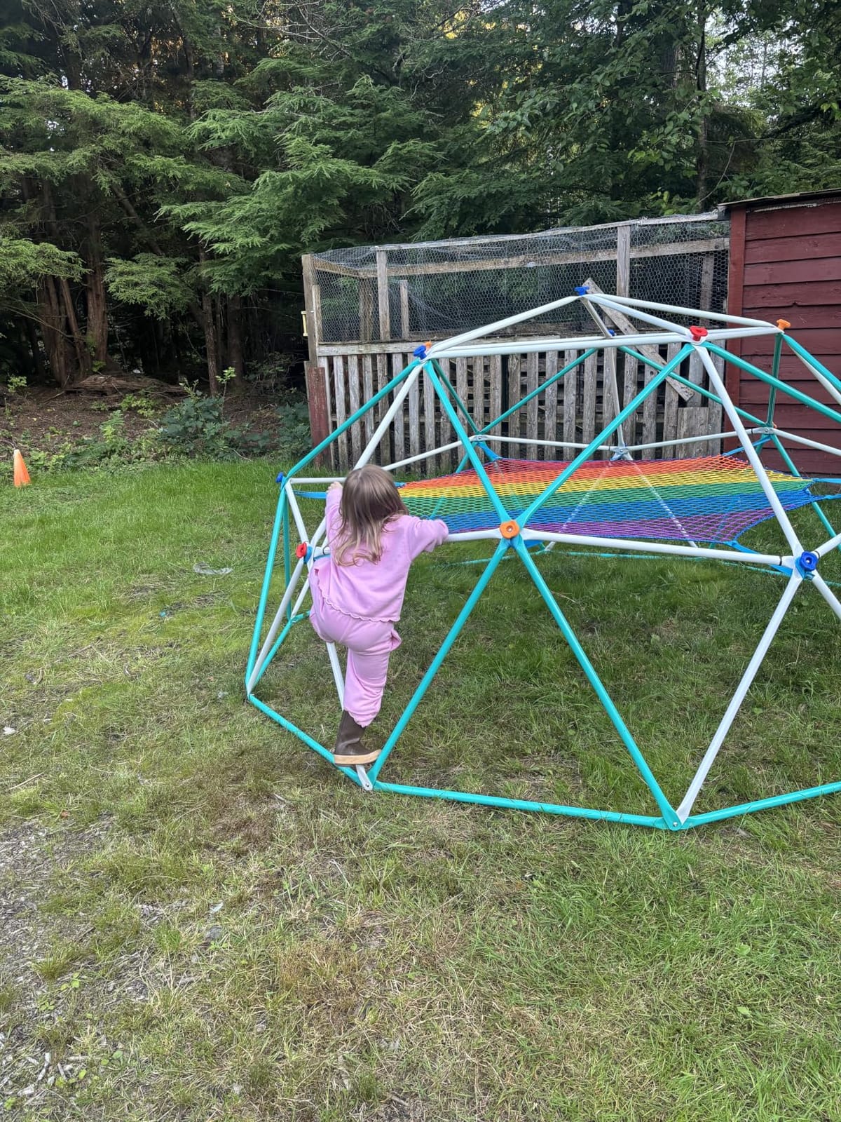 Hapfan 10 ft Climbing Dome with Climbing Cargo Net for Kids 3-12 customer photo 1